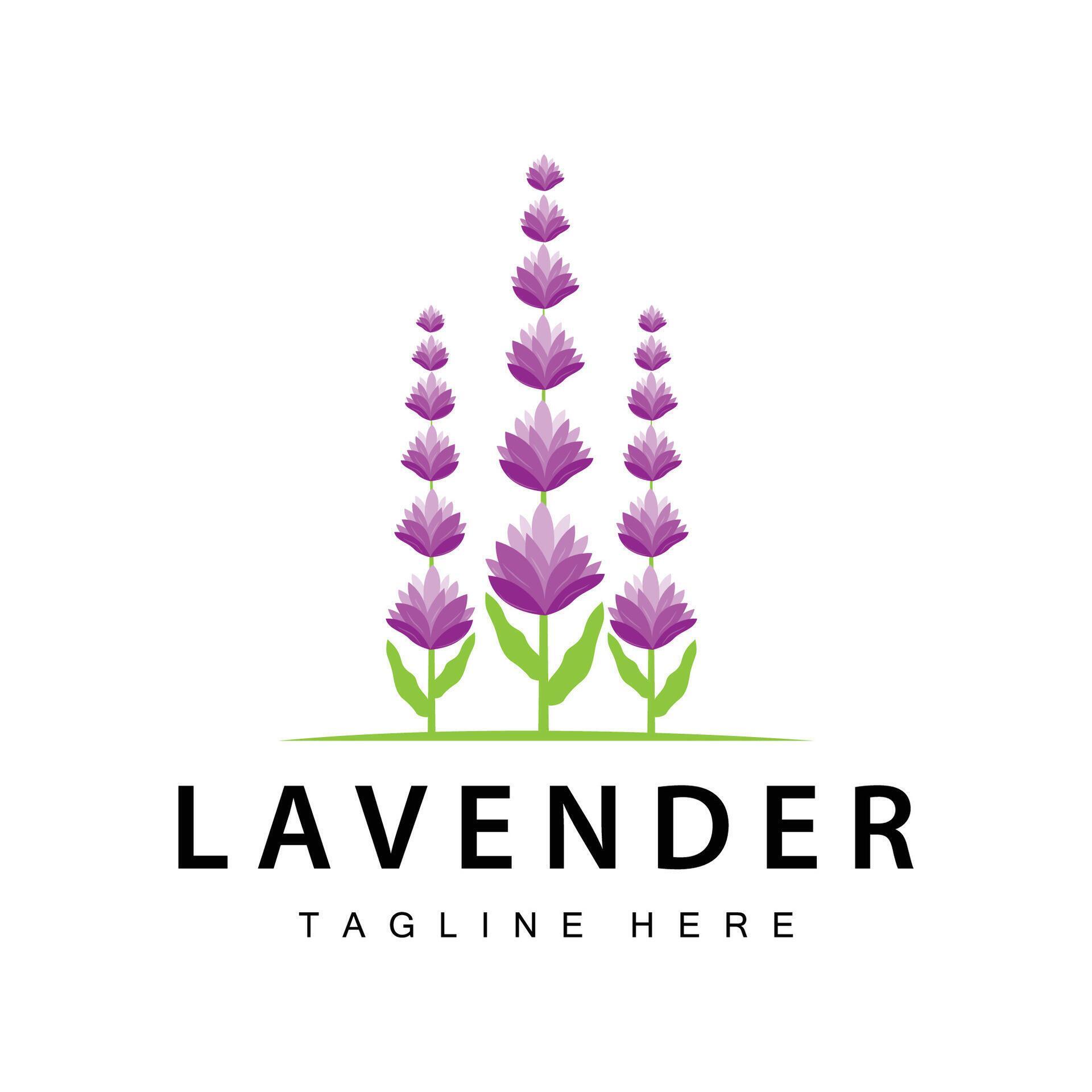 Lavender logo simple design vector cosmetic plant purple color and aromatherapy lavender flower garden template Stock Free