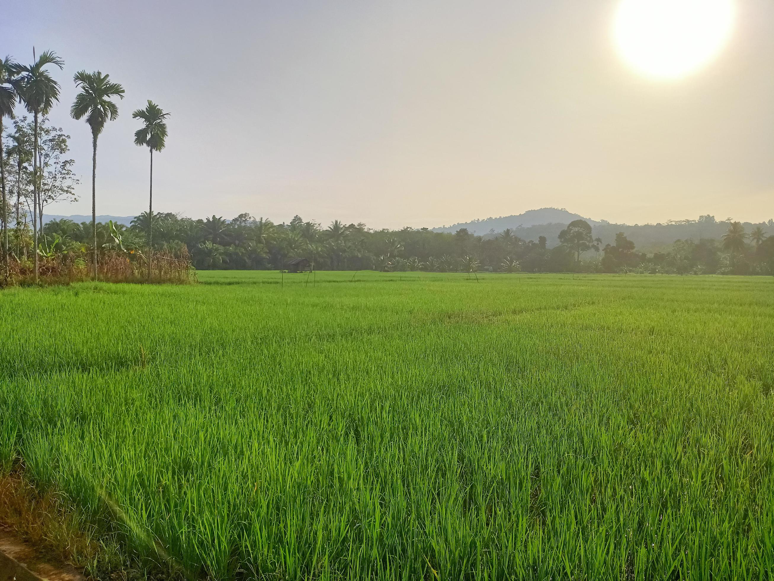 Beautiful natural scenery during the day, the sky is blue, the clouds Stock Free