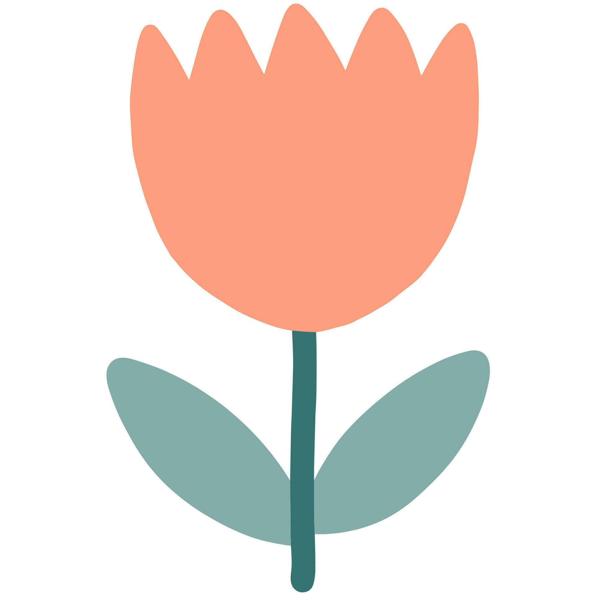 A simple orange tulip flower with two green leaves Stock Free