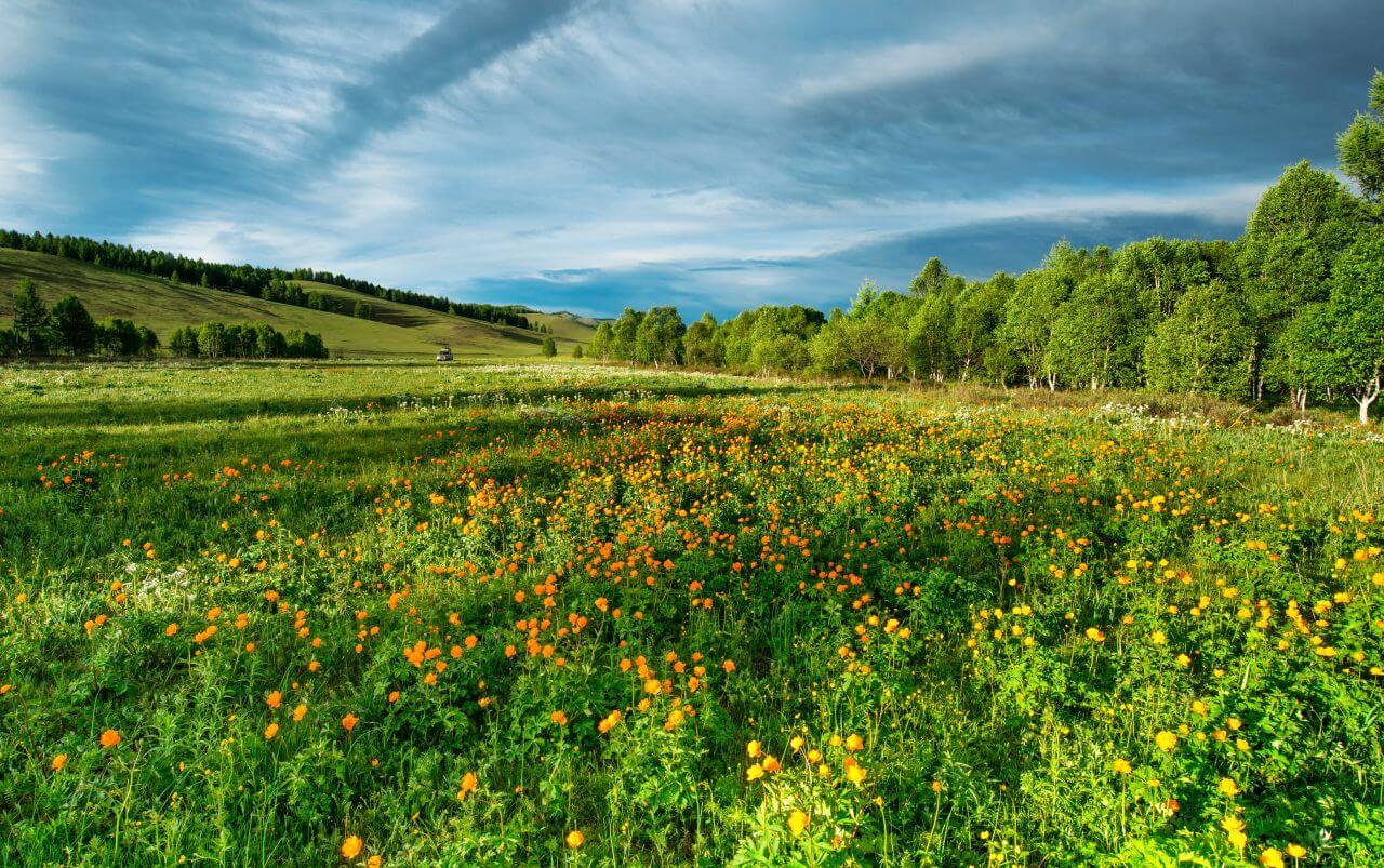 Agriculture Stock Free