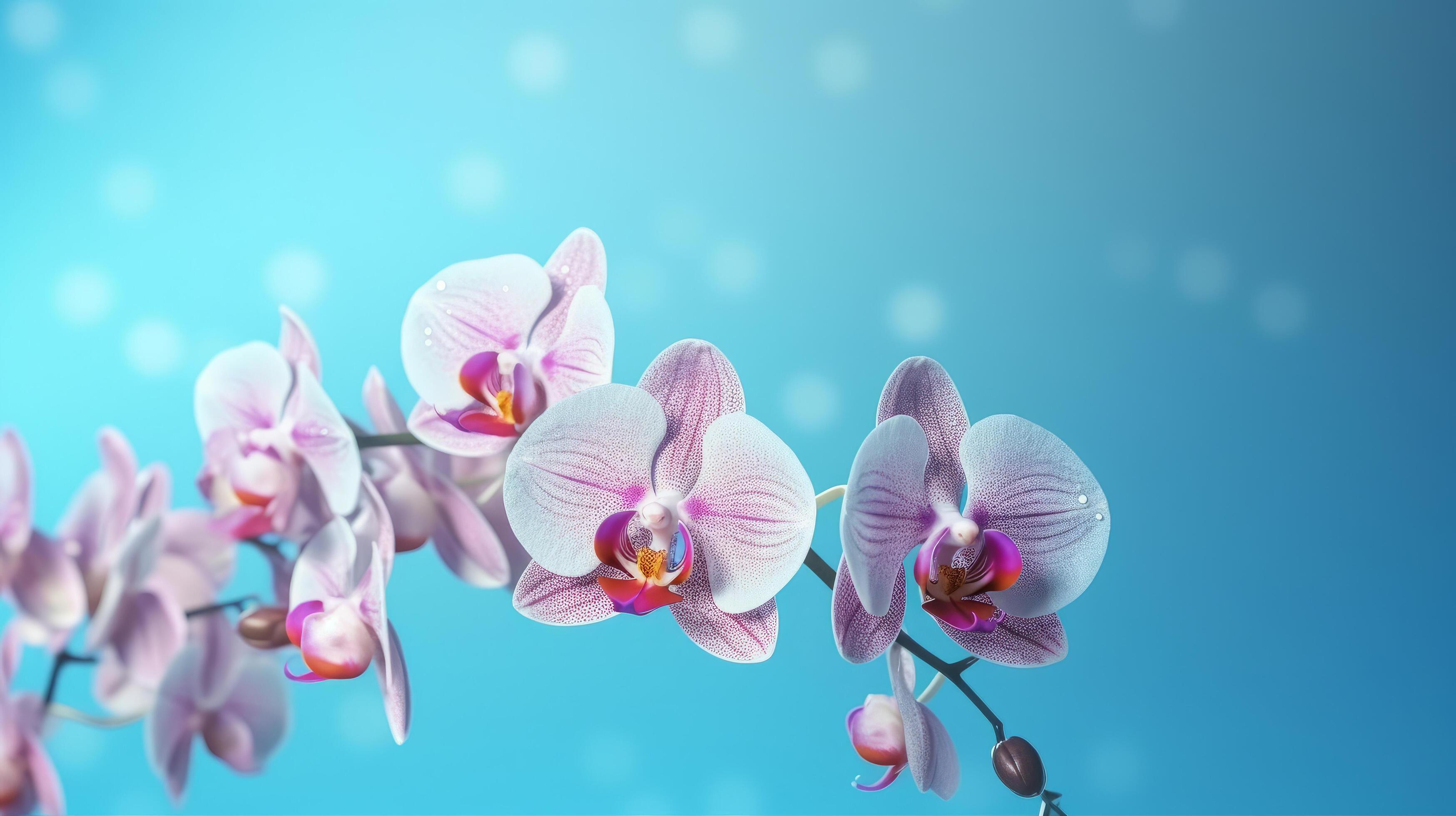 Natural orchid flower background. Illustration Stock Free