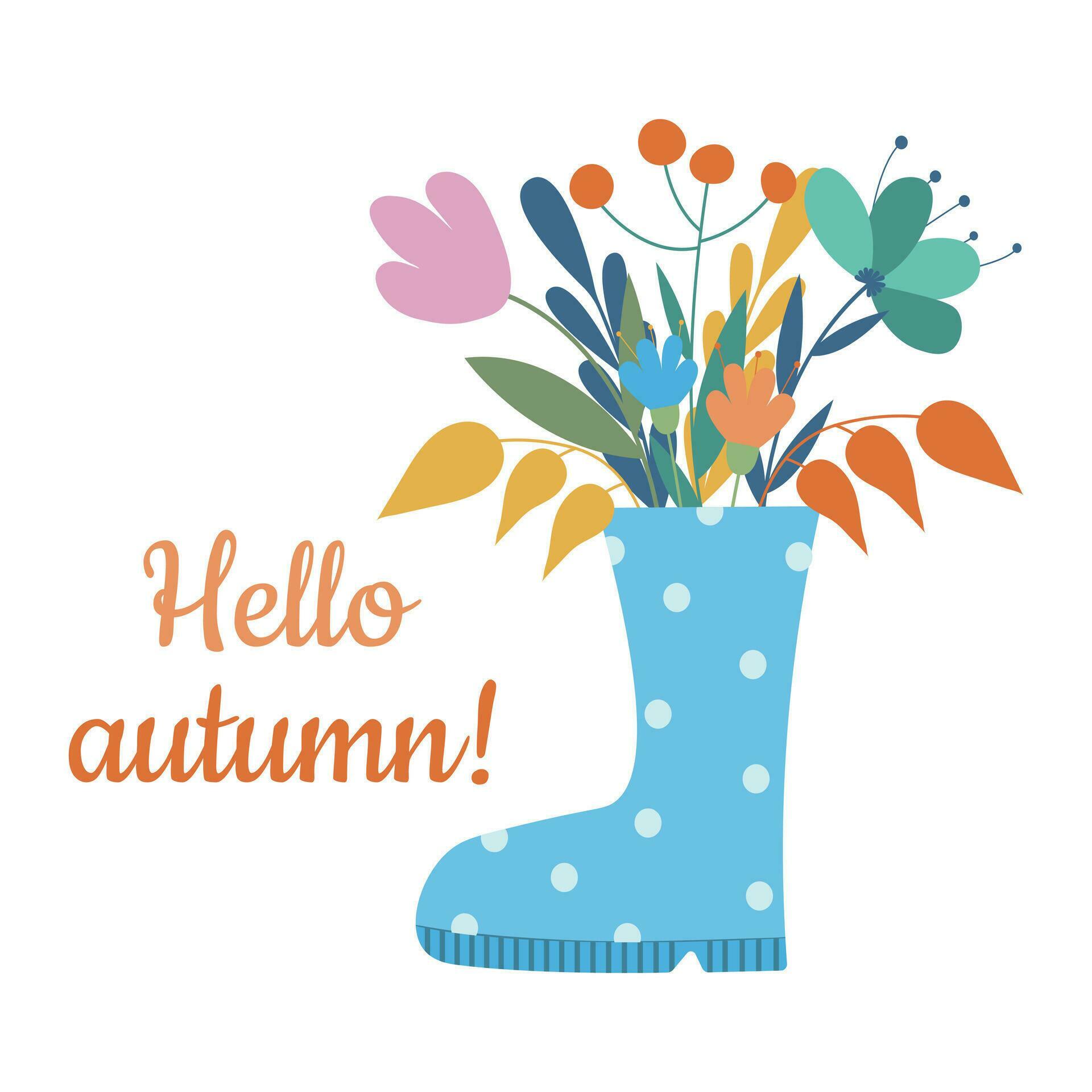 Hello autumn greeting card with rubber boots and flowers. Vector illustration. Stock Free