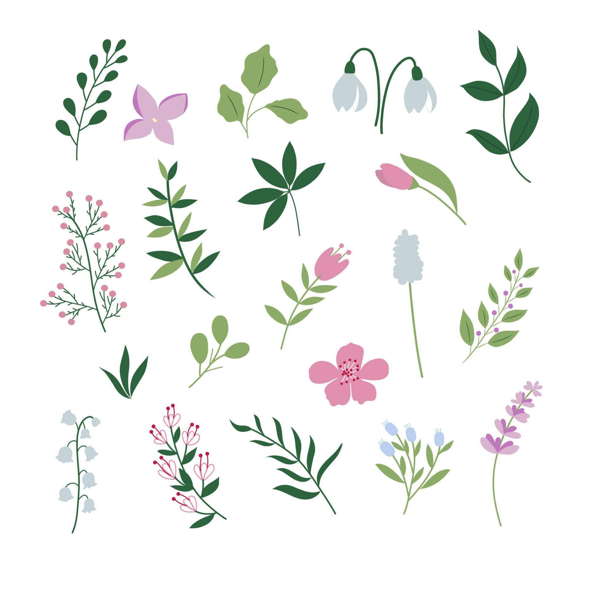 Set of spring handdrawn plants and flowers. Stock Free