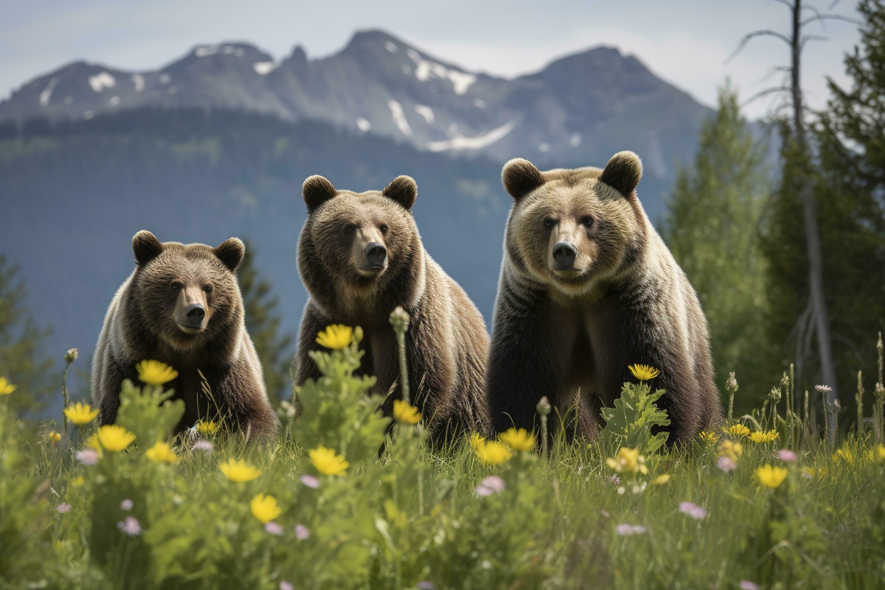 A family of bears playing in a field of wildflowers with a mountain range in the background, generate ai Stock Free