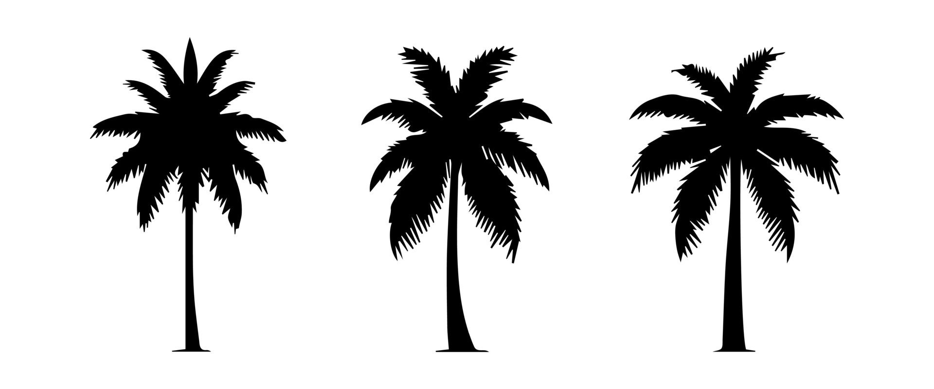 Black palm trees set isolated on white background. Palm silhouettes. Design of palm trees for posters, banners and promotional items. illustration Free Vector