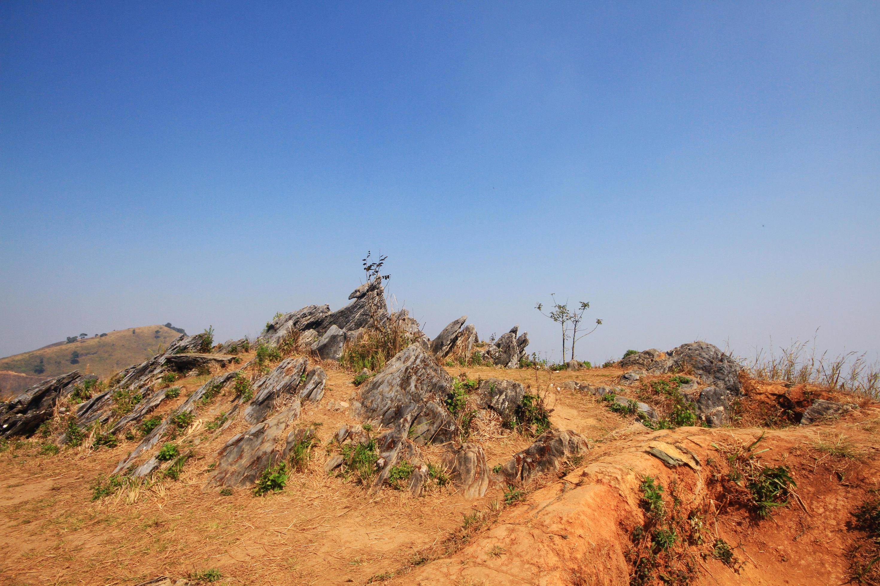 Landscape of The rocky and dry grassland on the valley mountain at Doi Pha Tang hill in Thailand Stock Free