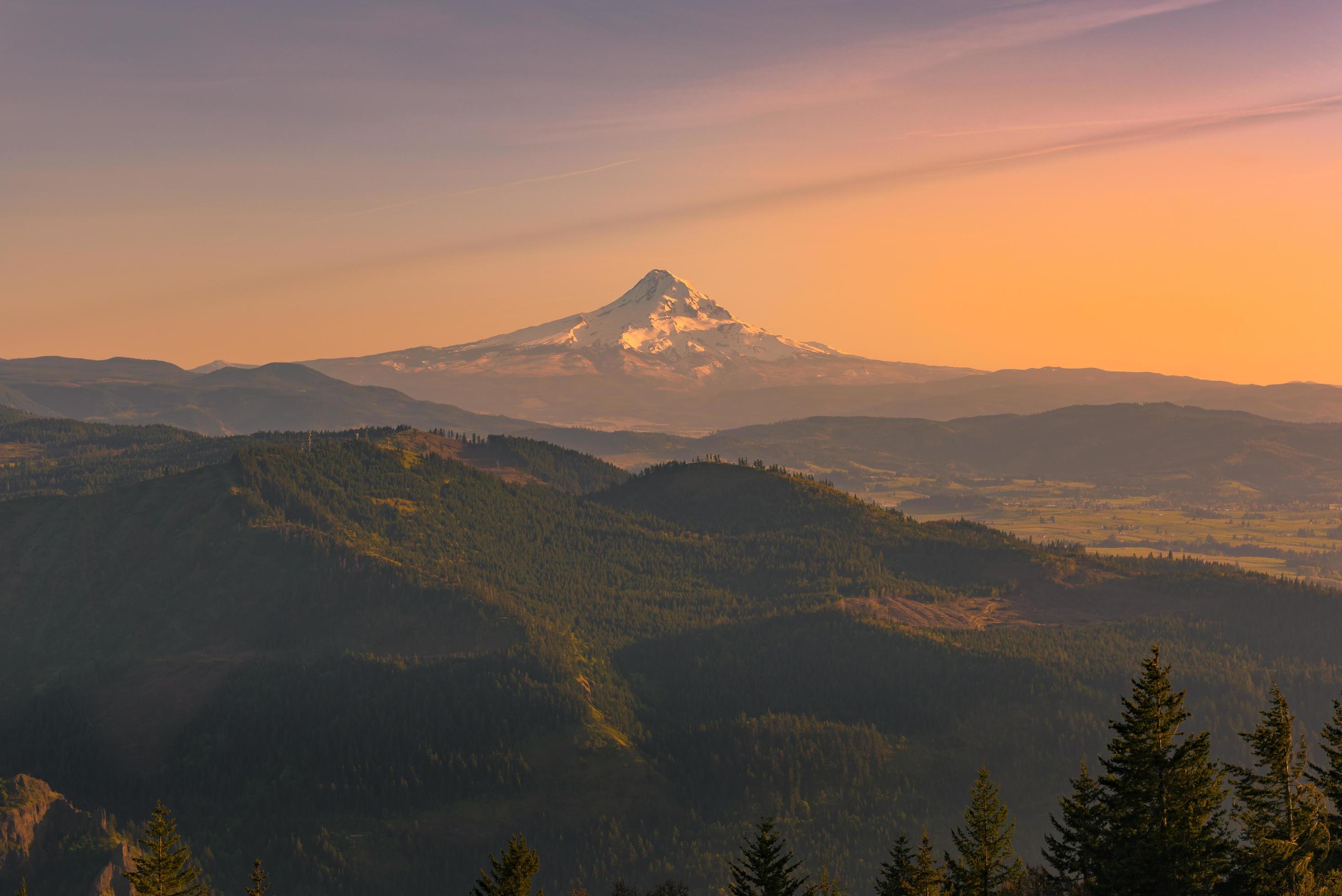 Mt Hood over a wilderness at sunset Stock Free