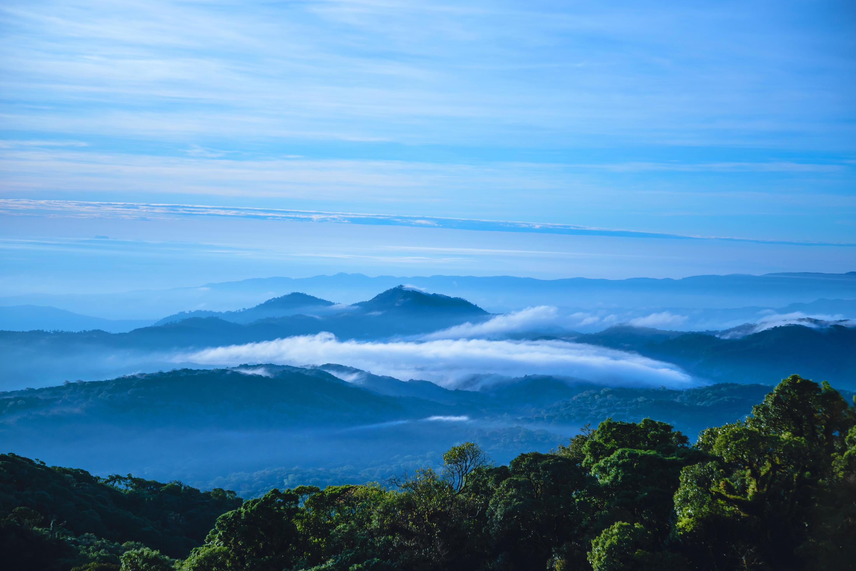 The background of nature with fog on the mountain. In the rainy weather in the countryside. winter Stock Free