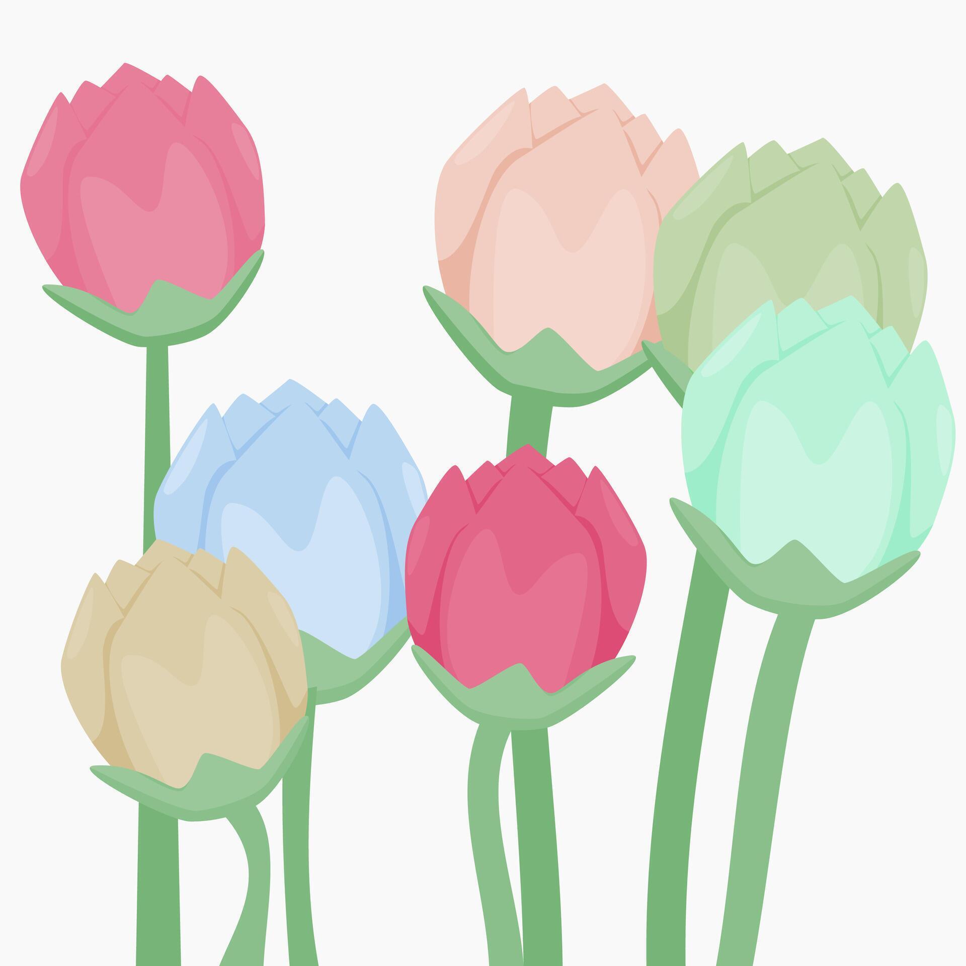 a bunch of tulip flowers with different soft colors Stock Free