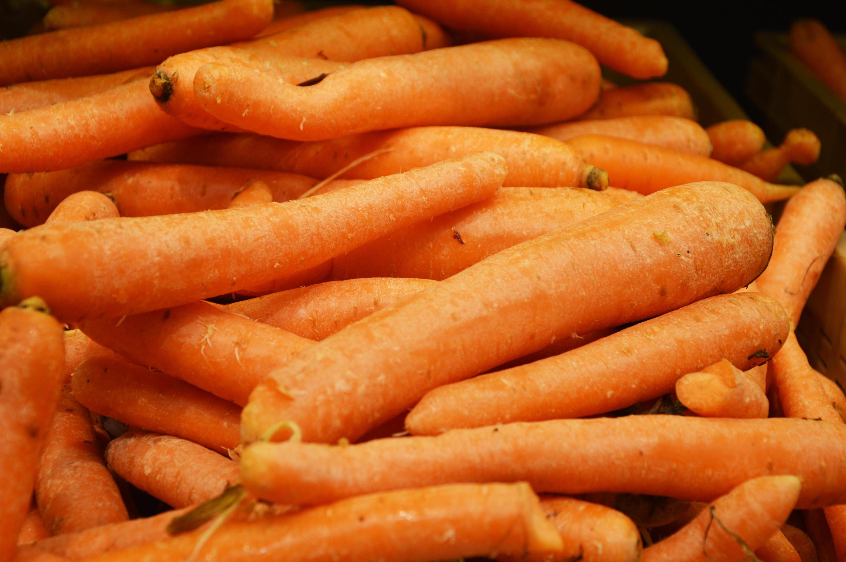 Carrot orange. Fresh vegetables, healthy food, diet, vitamins. Harvesting. Stock Free