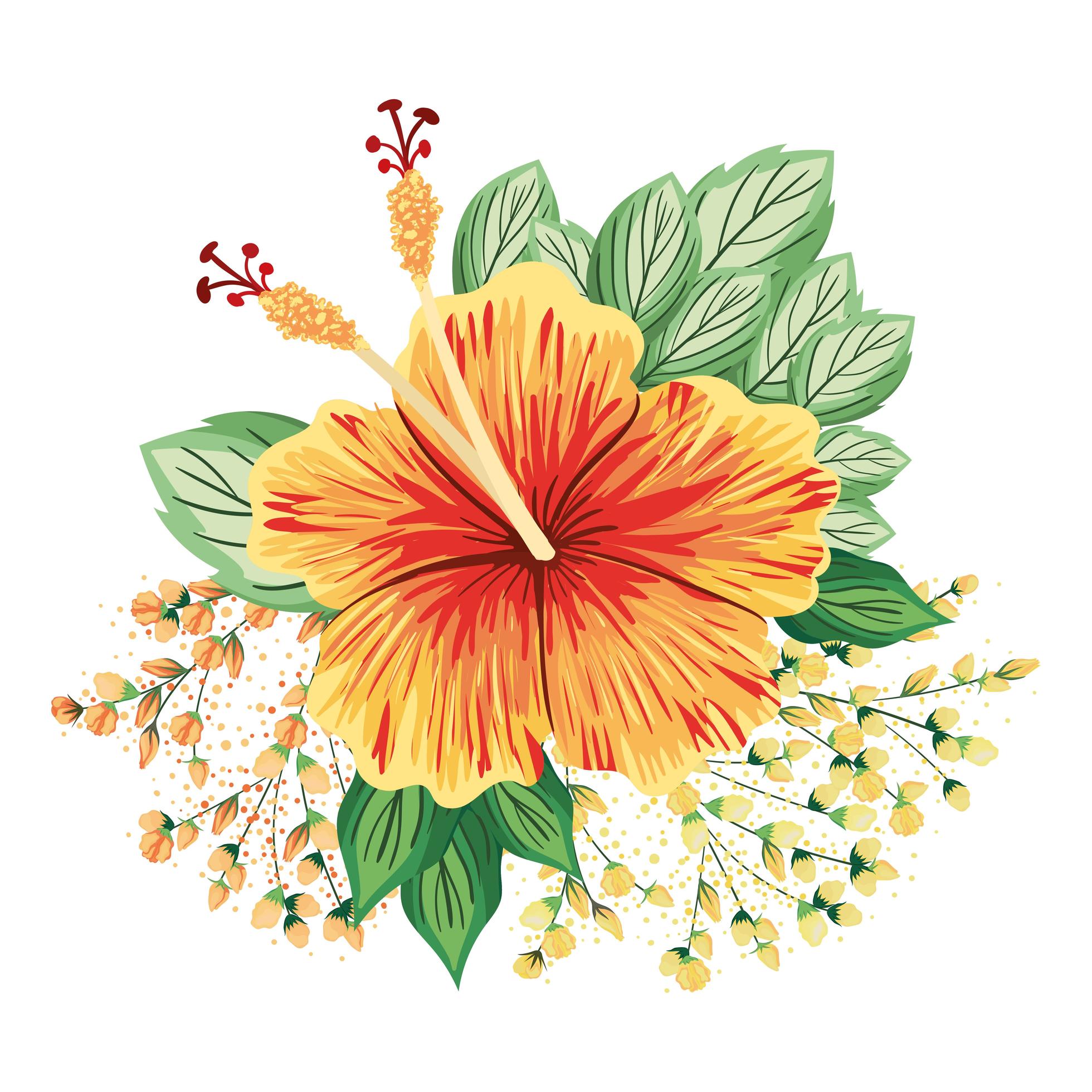 Orange Hawaiian flower with buds and leaves painting Stock Free