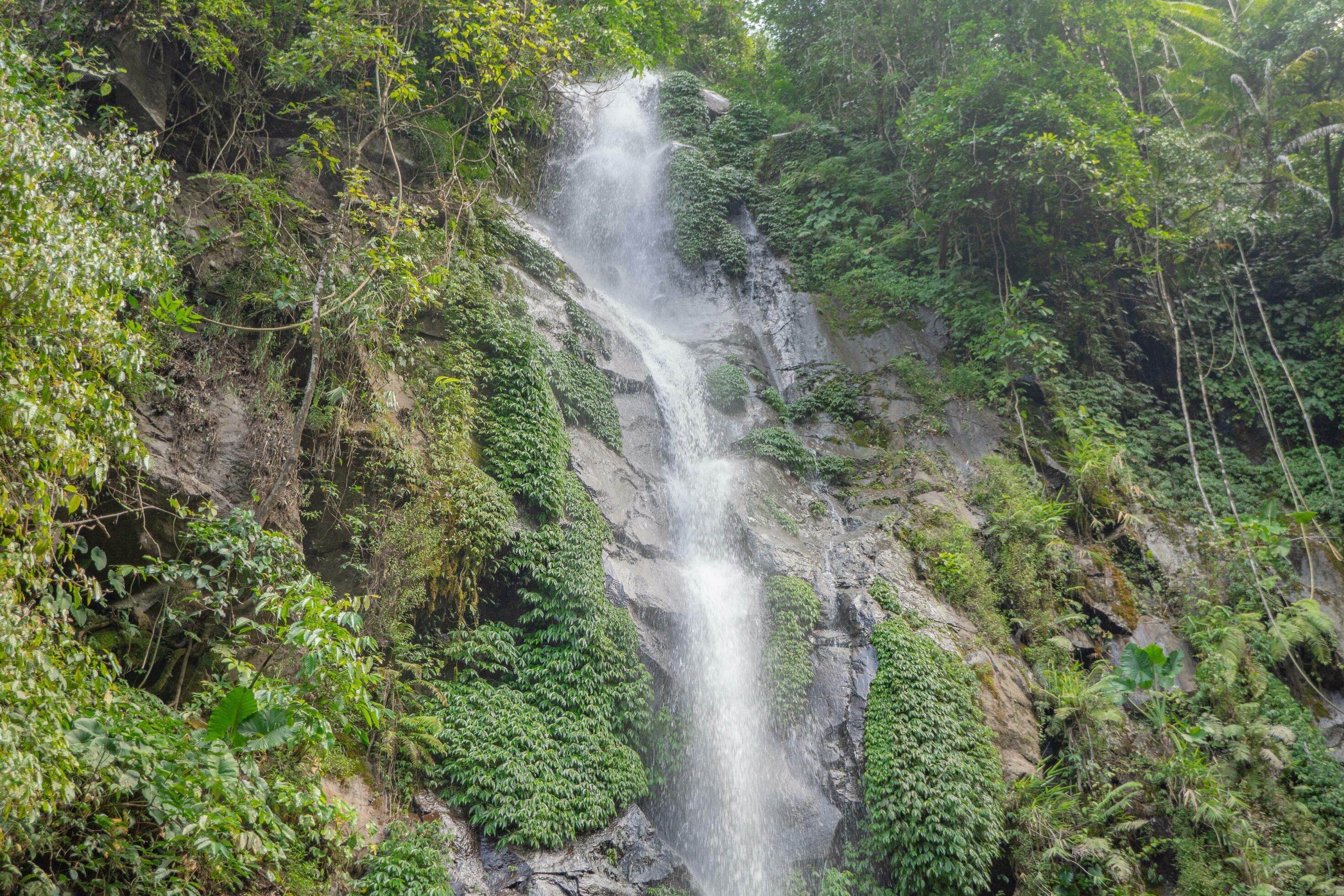 Small water fall on the tropical forest when rain season. The photo is suitable to use for adventure content media, nature poster and forest background. Stock Free