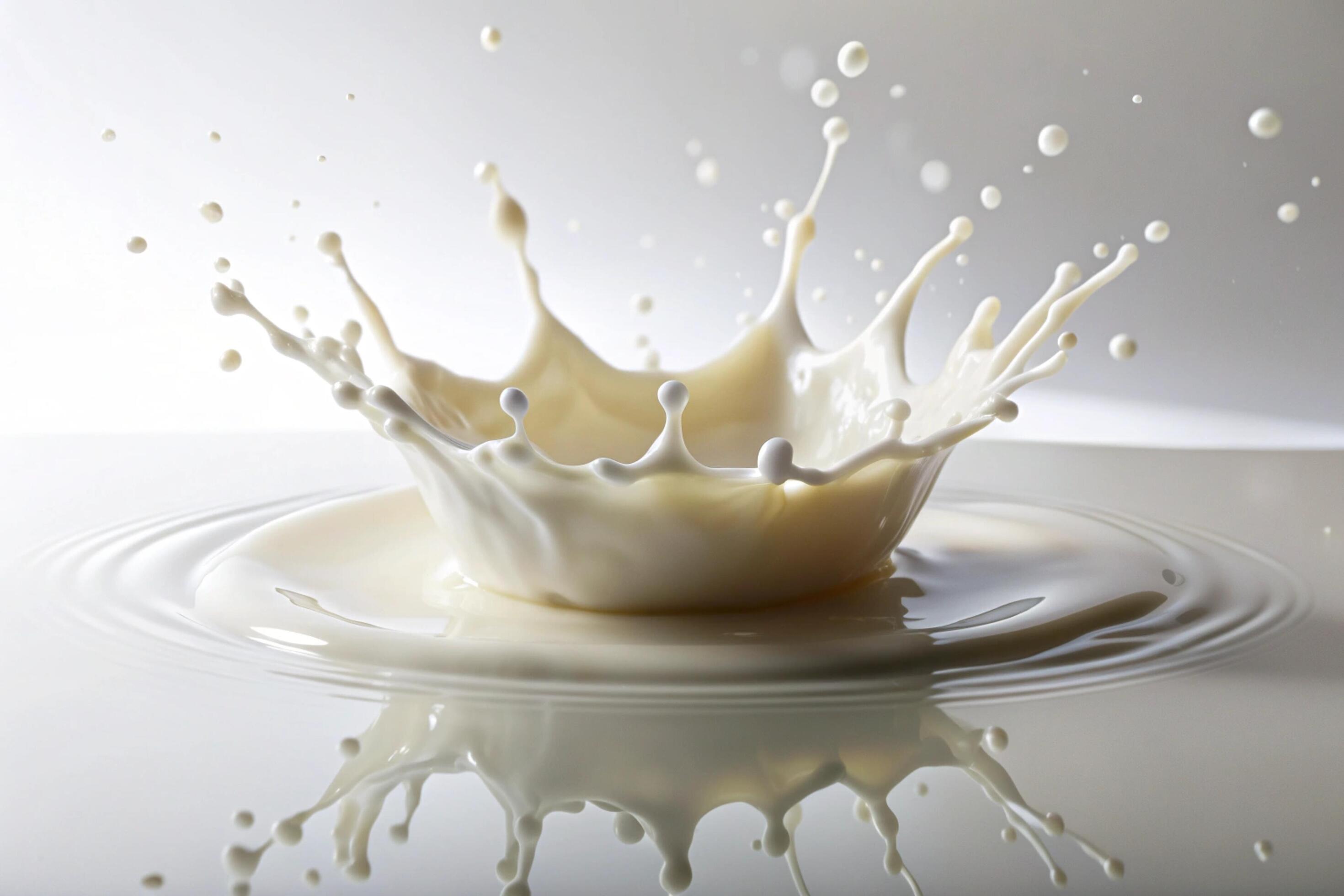 Milk splashes on white background Stock Free