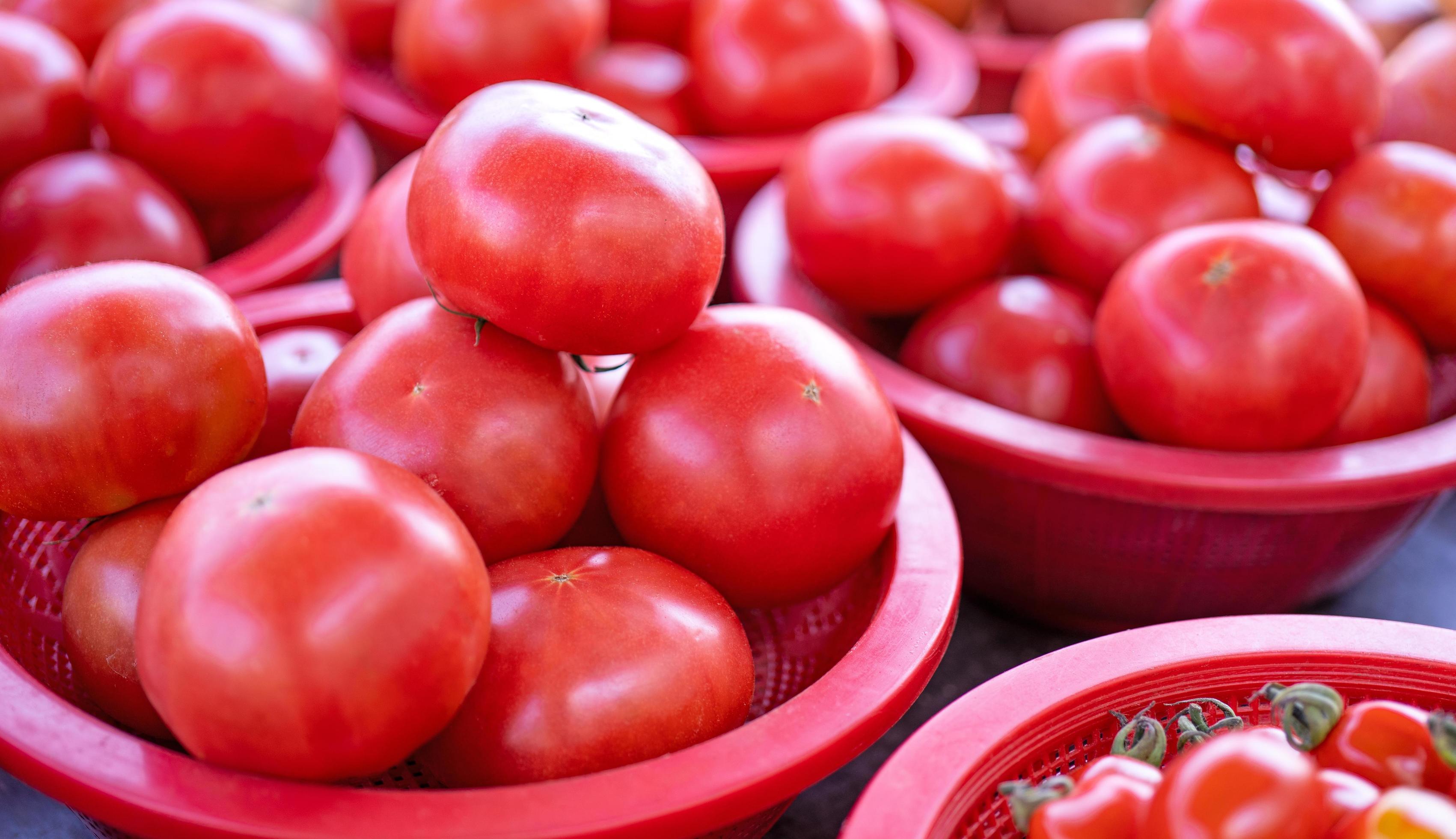 Delicious fresh tomatoes fruit vegetable food in red plastic basket at tradition market afternoon, Seoul, South Korea, harvest concept, close up. Stock Free