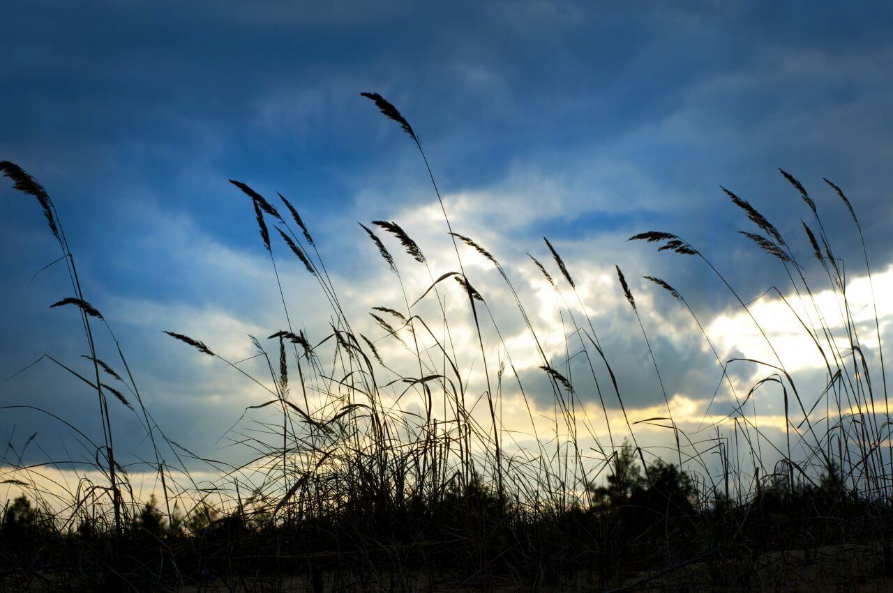 Clouds Stock Free