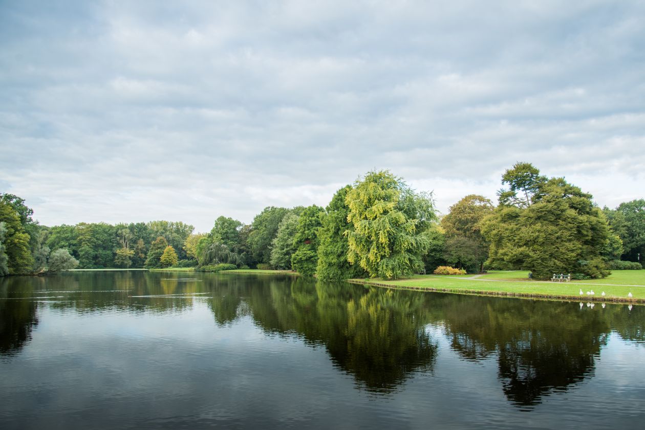 Green park, and a lake Stock Free