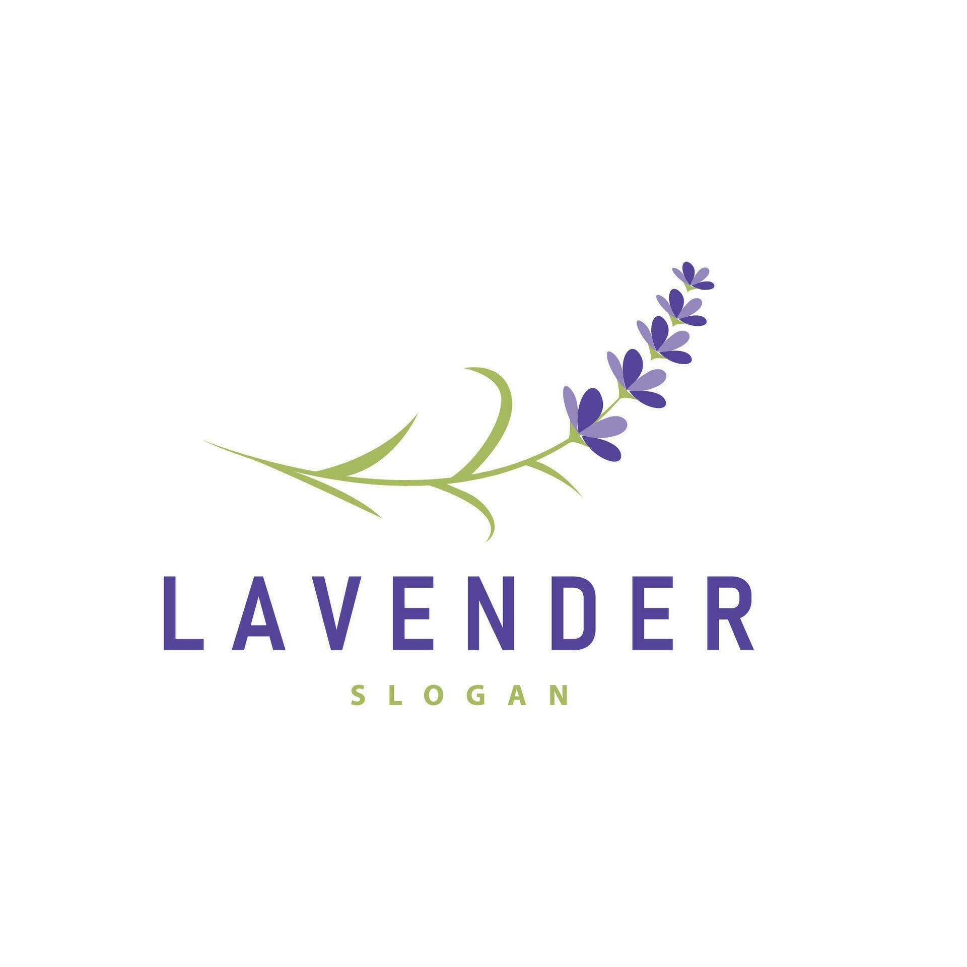 Lavender Logo Elegant Purple Flower Plant Illustration Floral Ornament Design Stock Free