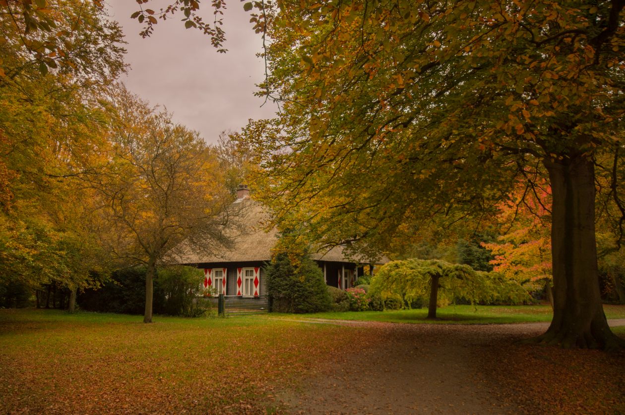 Little house in the forrest Stock Free