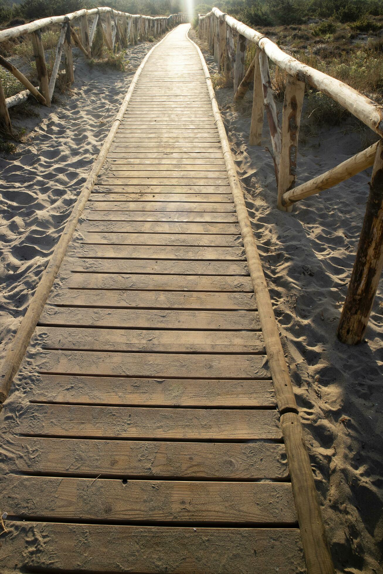 Walkway leading to the sea in the natural park of Viareggio Italy Stock Free