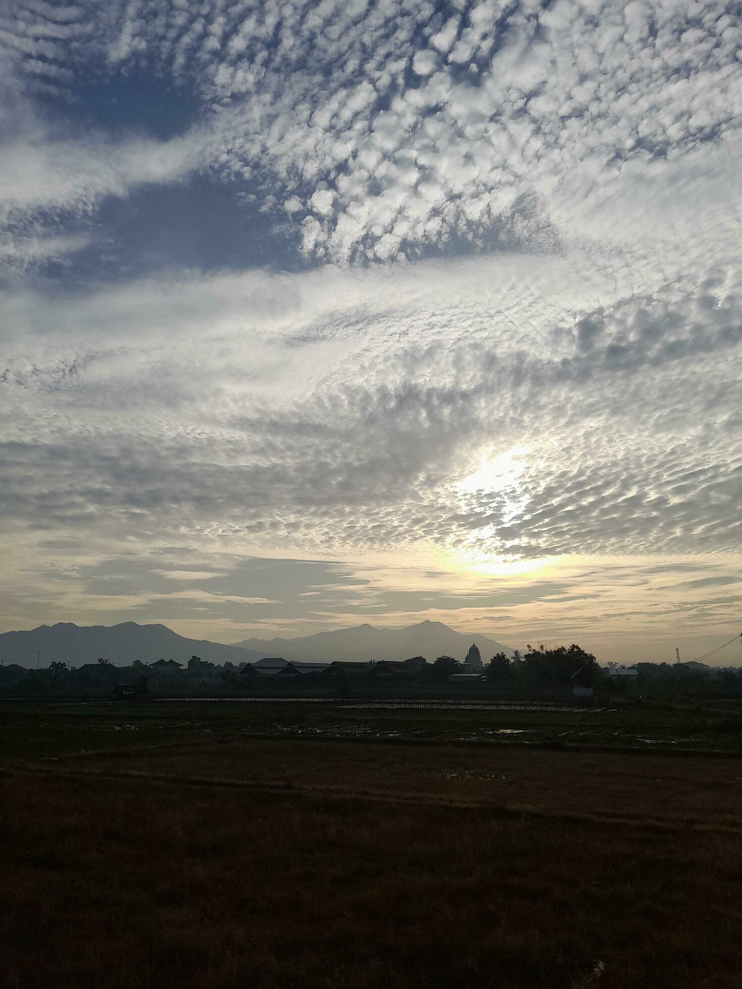 Beautiful view of the sky on the rice paddy field during sunrise in Lombok Island, Indonesia. Nature composition Stock Free