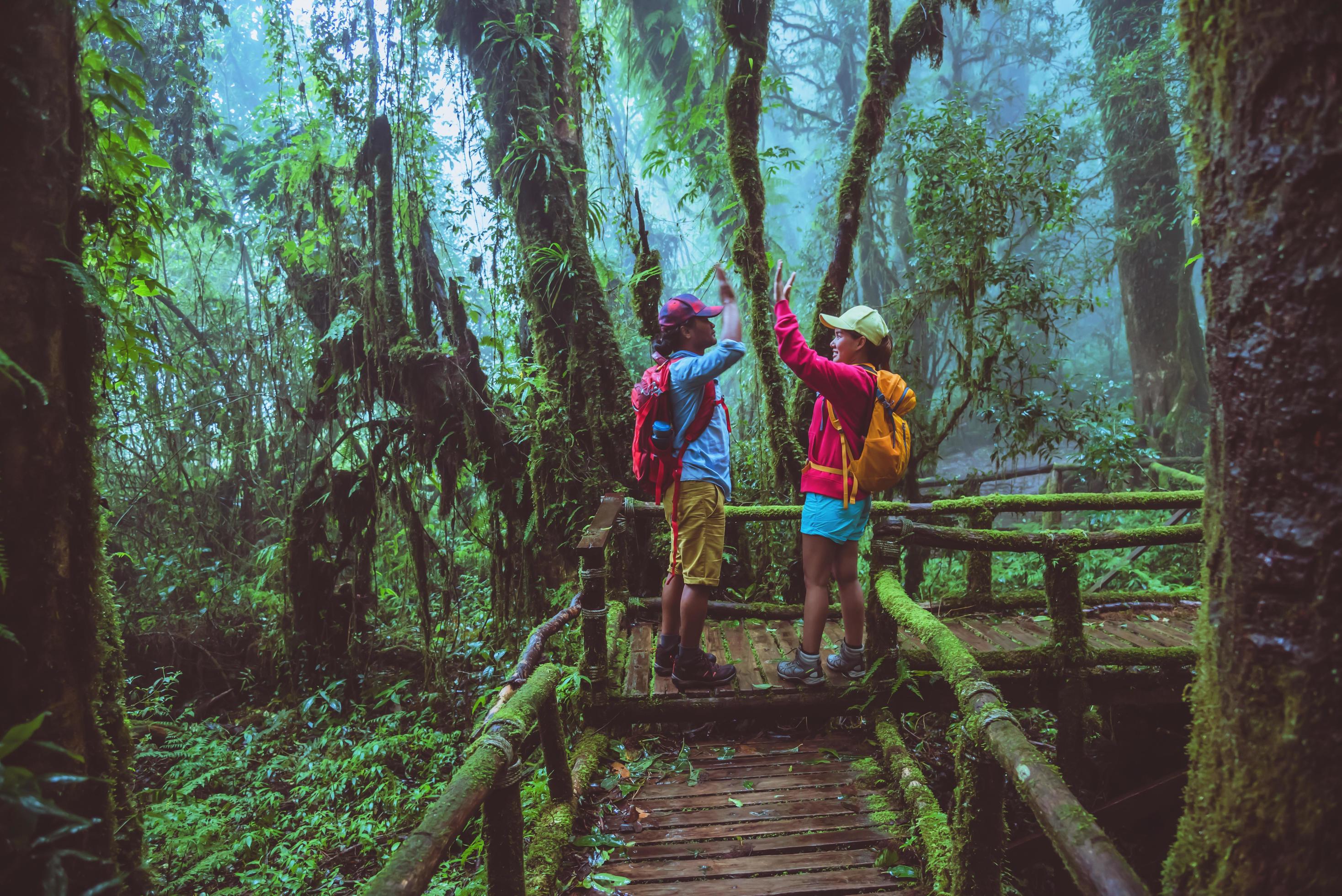 Lover asian man and asian women travel nature. Nature Study in the rain forest at Chiangmai in Thailand. Stock Free