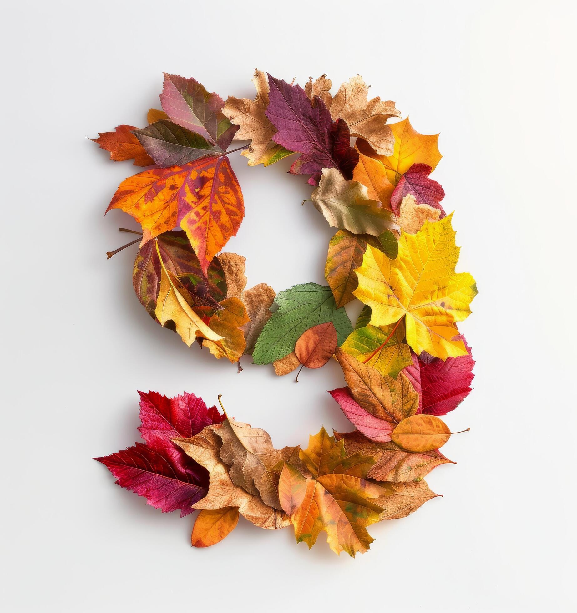 Autumn Leaves Arranged in a Number Nine on White Background Stock Free