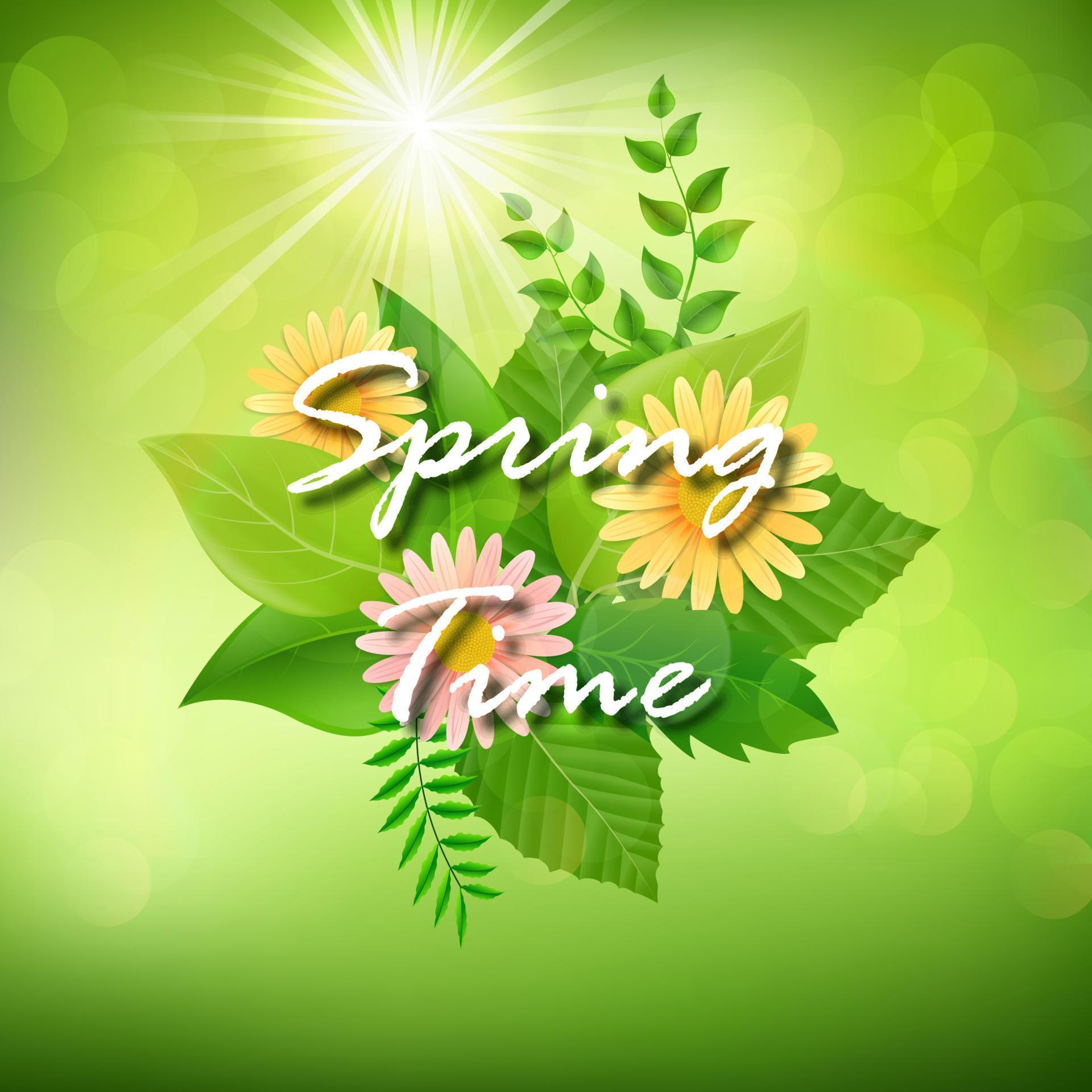 Spring background with colorful flowers and green leaves Stock Free