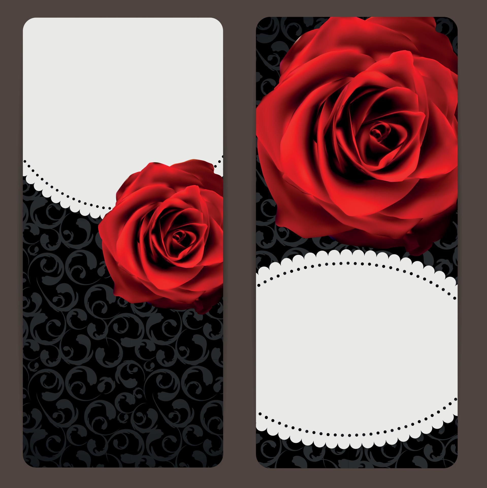 Beautiful Floral Cards with Realistic Rose Flowers Vector Illustration Stock Free