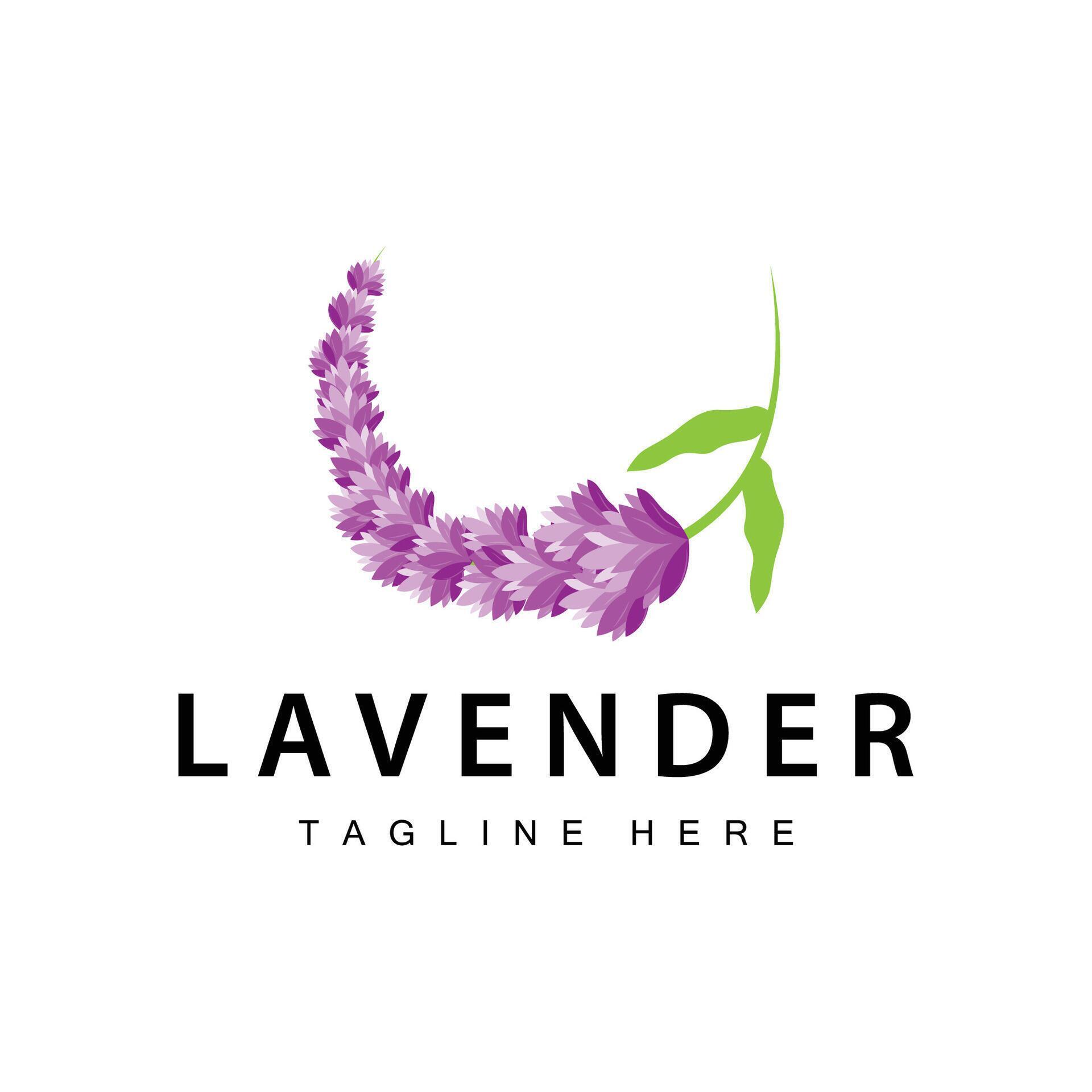 Lavender logo simple design cosmetic plant purple color and aromatherapy lavender flower garden template Stock Free