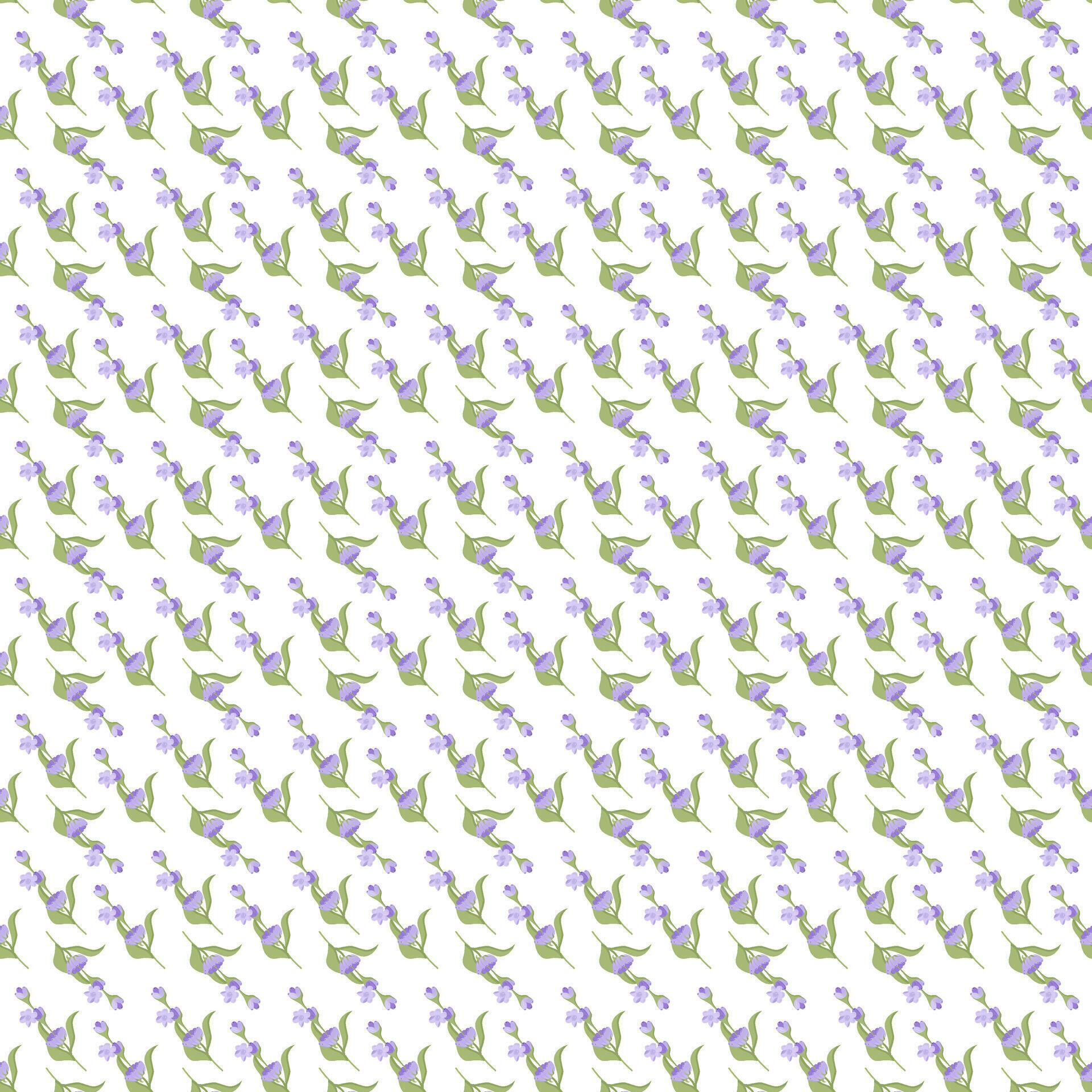 A sprig of lavender. Purple flower. Seamless pattern. illustration. Stock Free