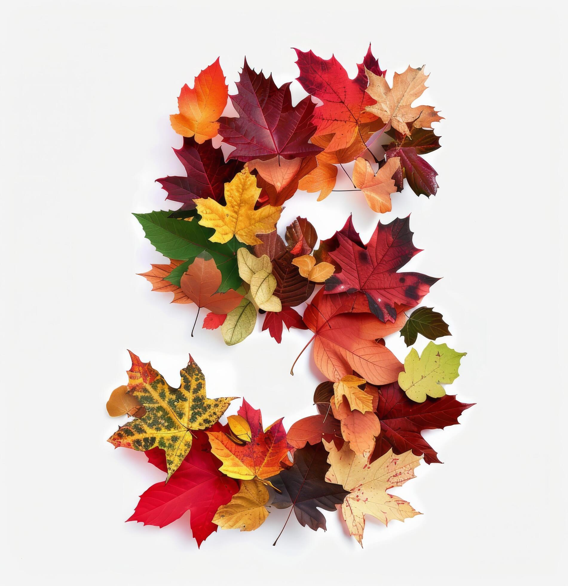 Five Shaped Arrangement of Colorful Autumn Leaves on White Background Stock Free