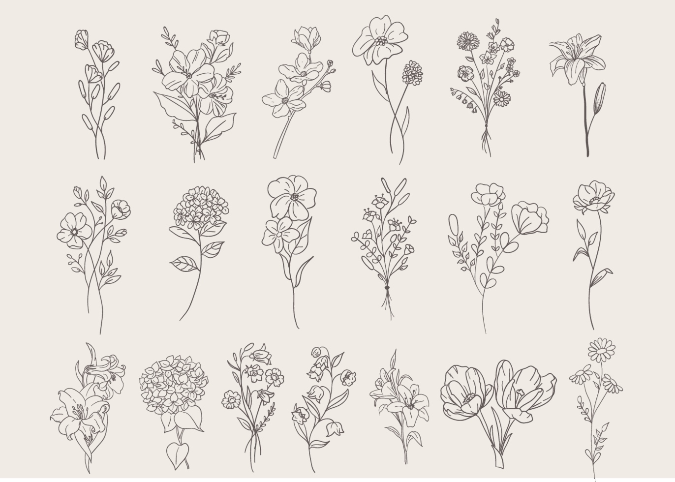 Flower Set Doodle Stock Free