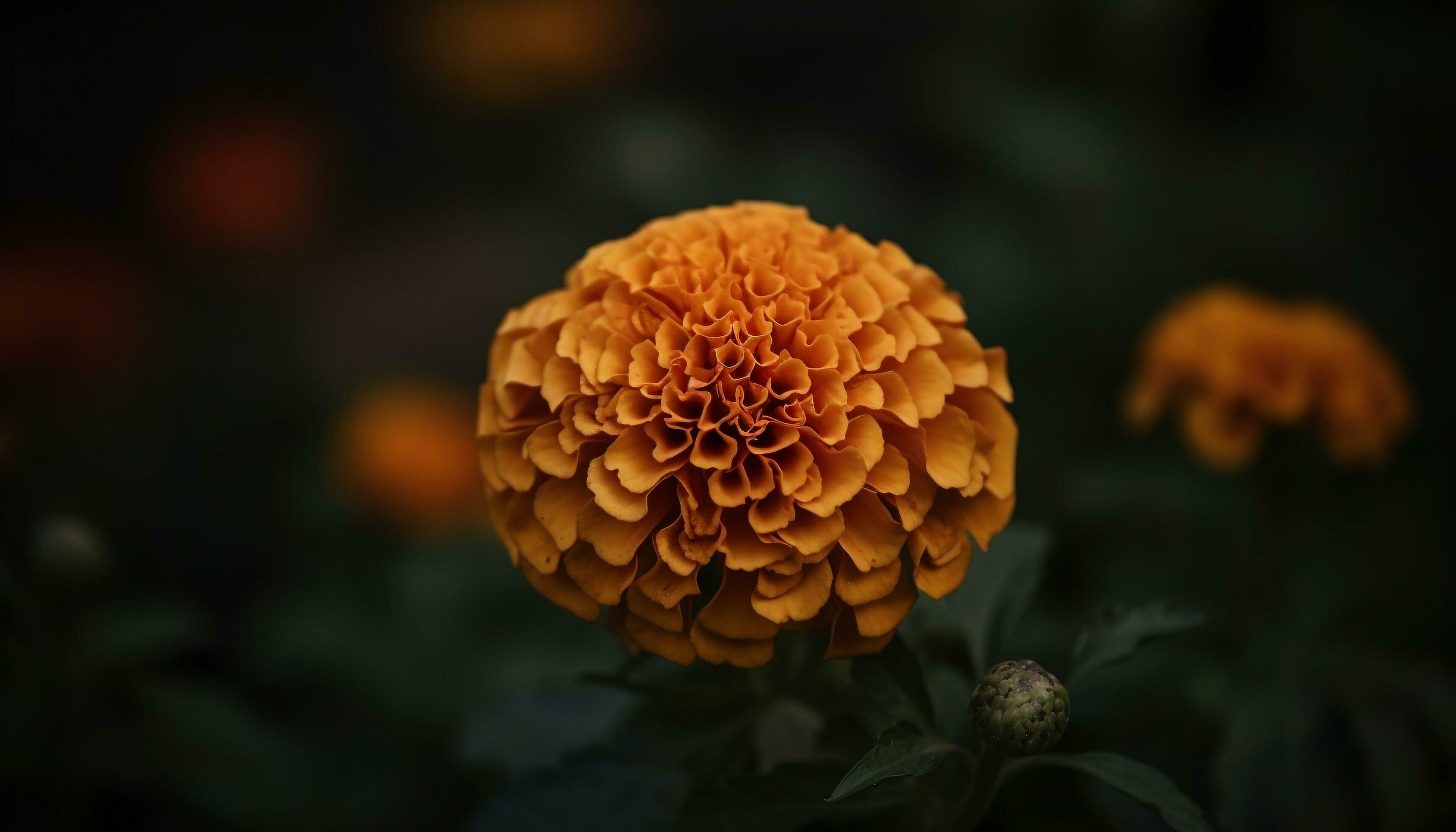 Vibrant yellow sunflower, close up of single flower in green meadow generated by AI Stock Free