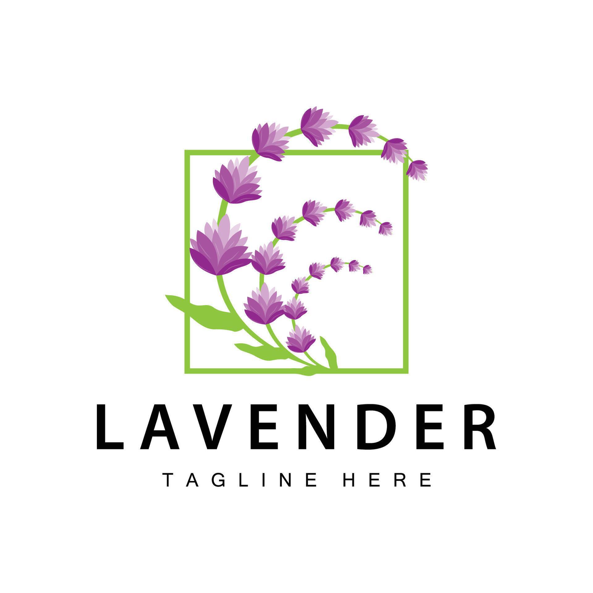 Lavender logo simple design vector cosmetic plant purple color and aromatherapy lavender flower garden template Stock Free