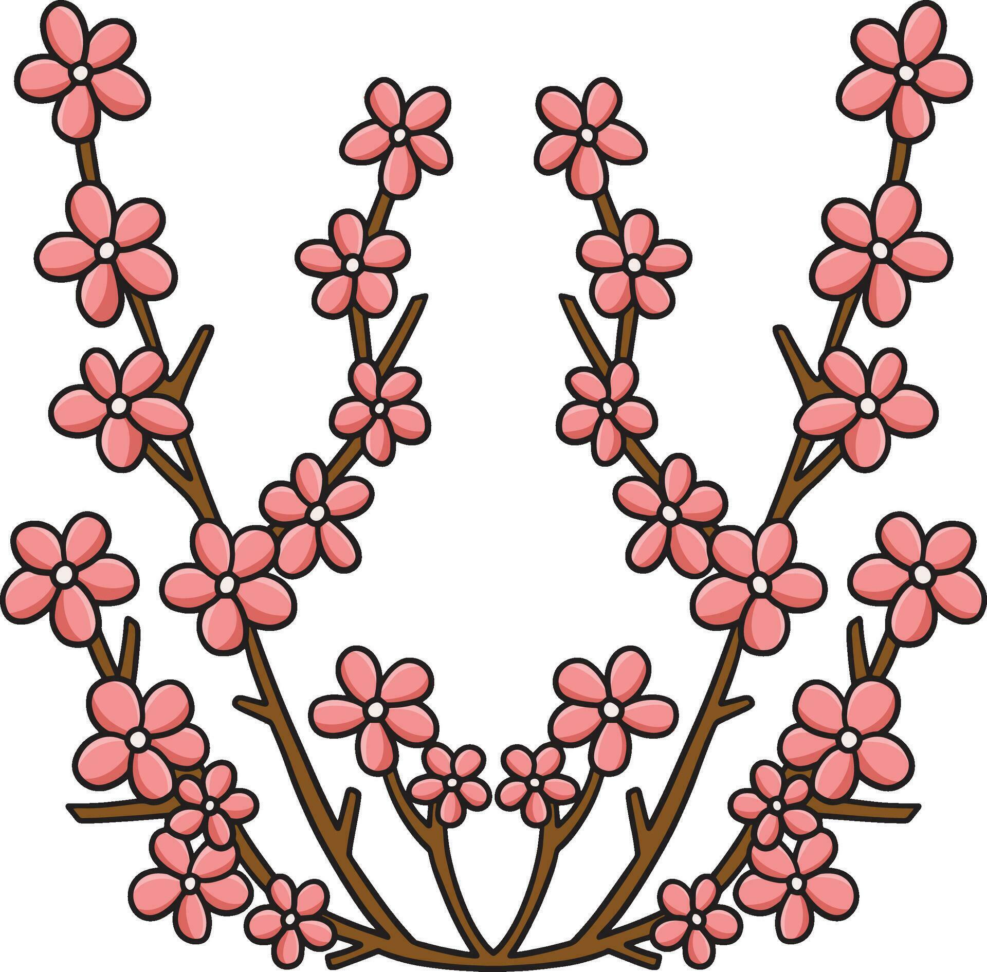 Cherry Blossom Flower Cartoon Colored Clipart Stock Free