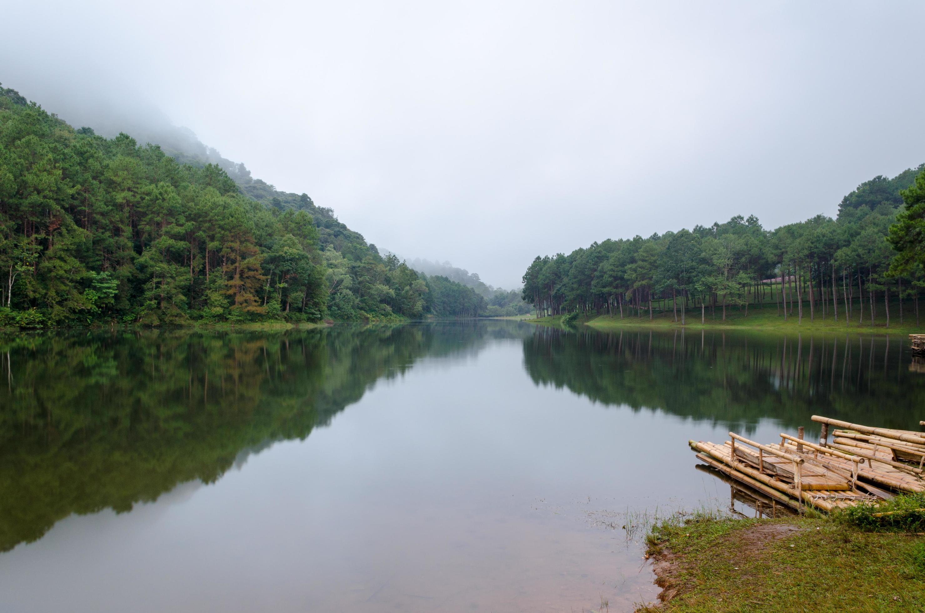 Nature landscape at dawn of lakes and pine forests Stock Free