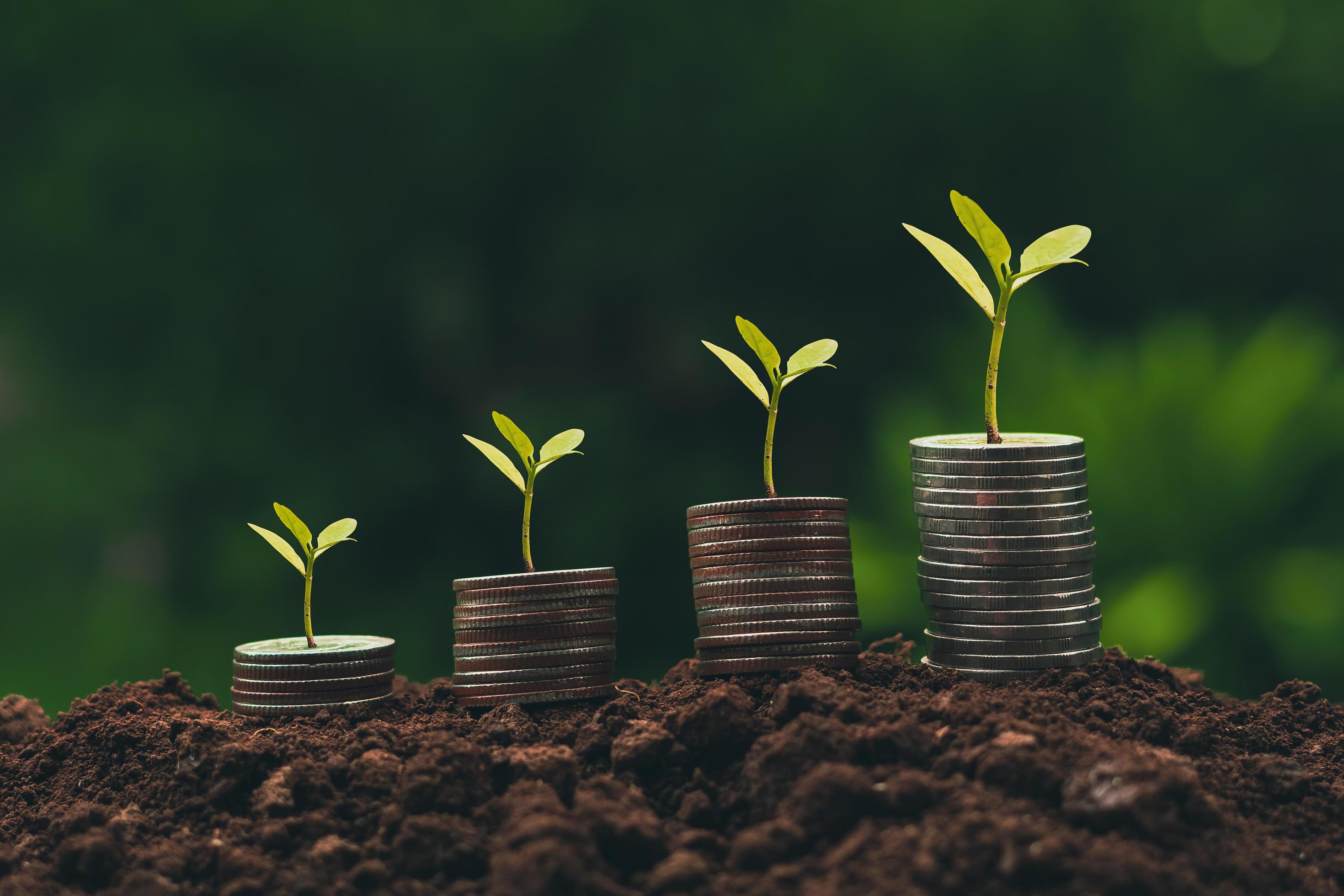 a tree growing on a pile of coins Business success concept, finance, savings, stocks, marketing Stock Free