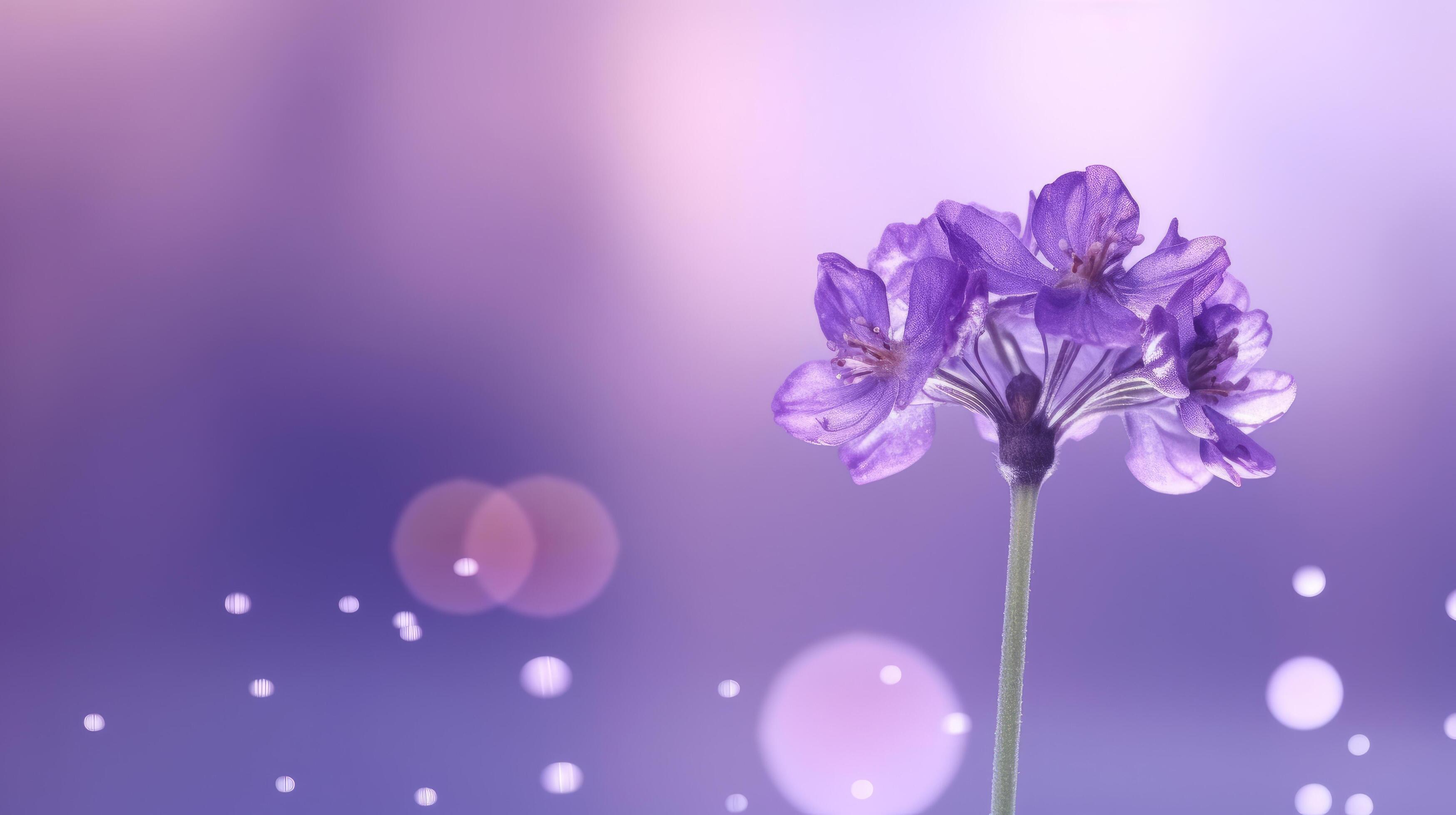 Violet flower background. Illustration Stock Free