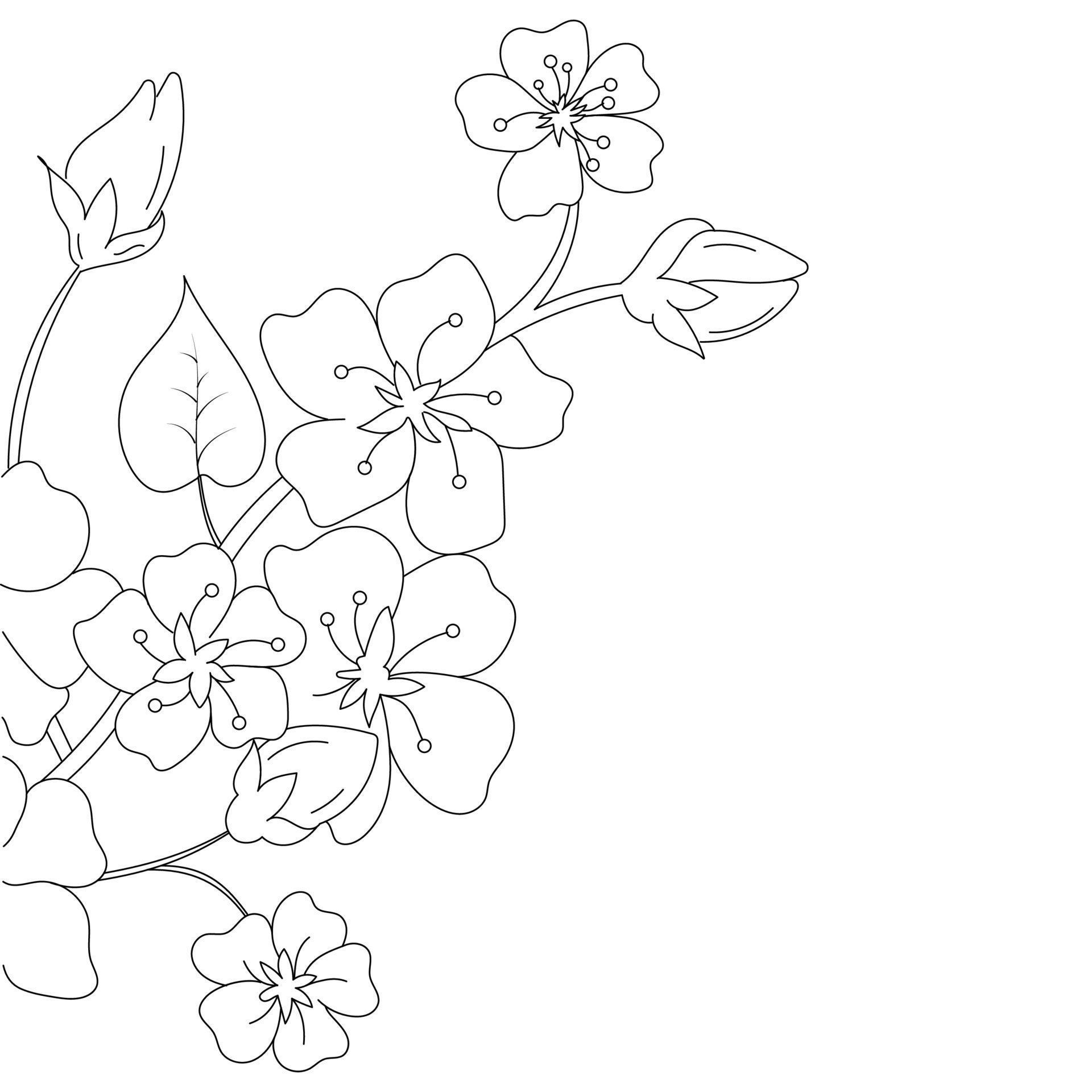 Flower line art, Floral Illustration Stock Free