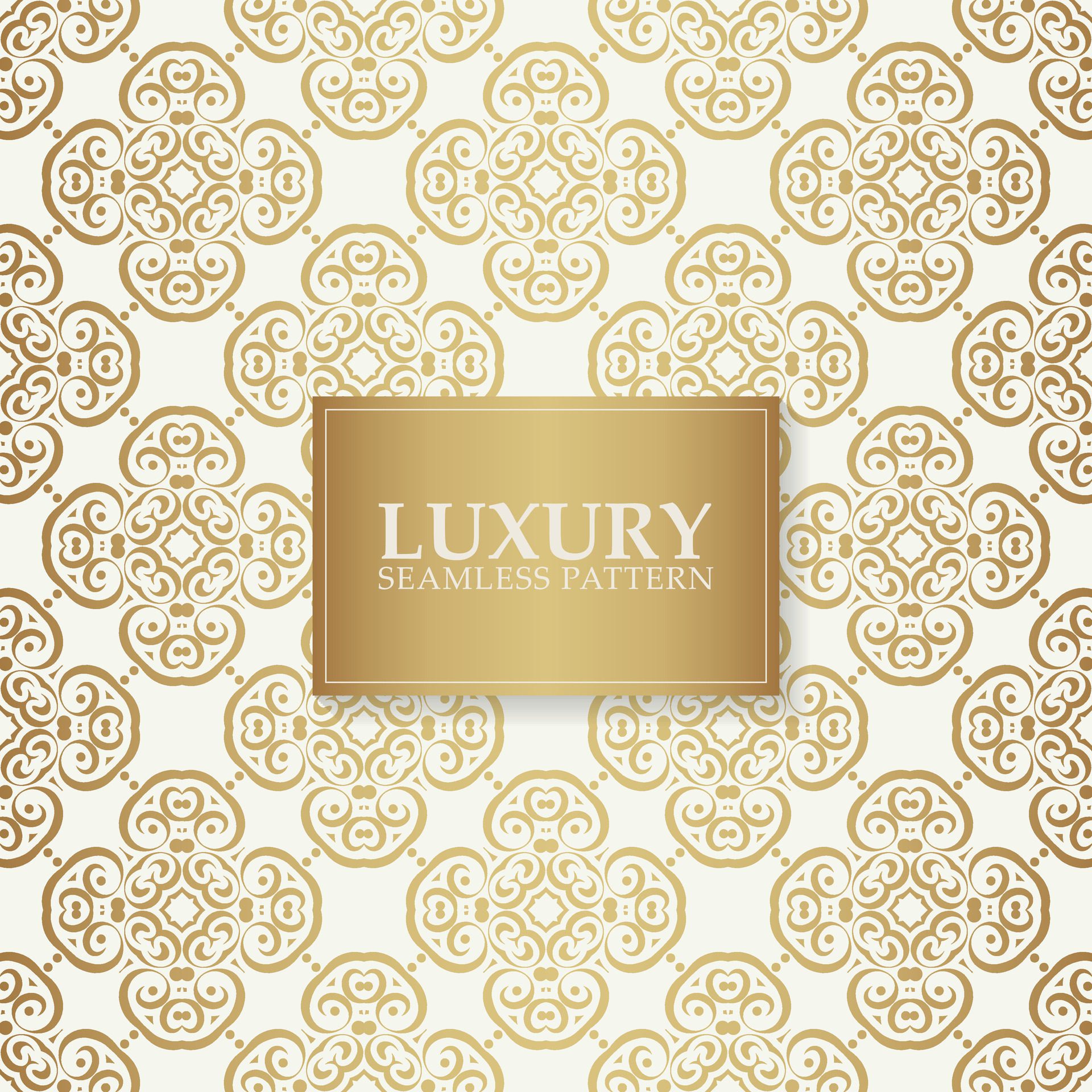 Luxury white ornament pattern design background Free Vector