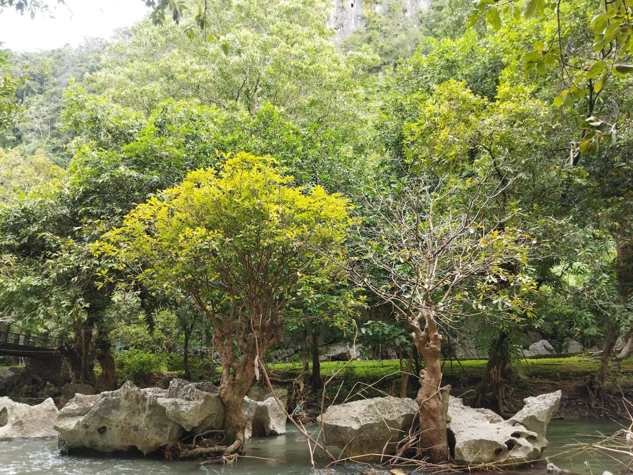 Stone made of nature at isolated environment Stock Free