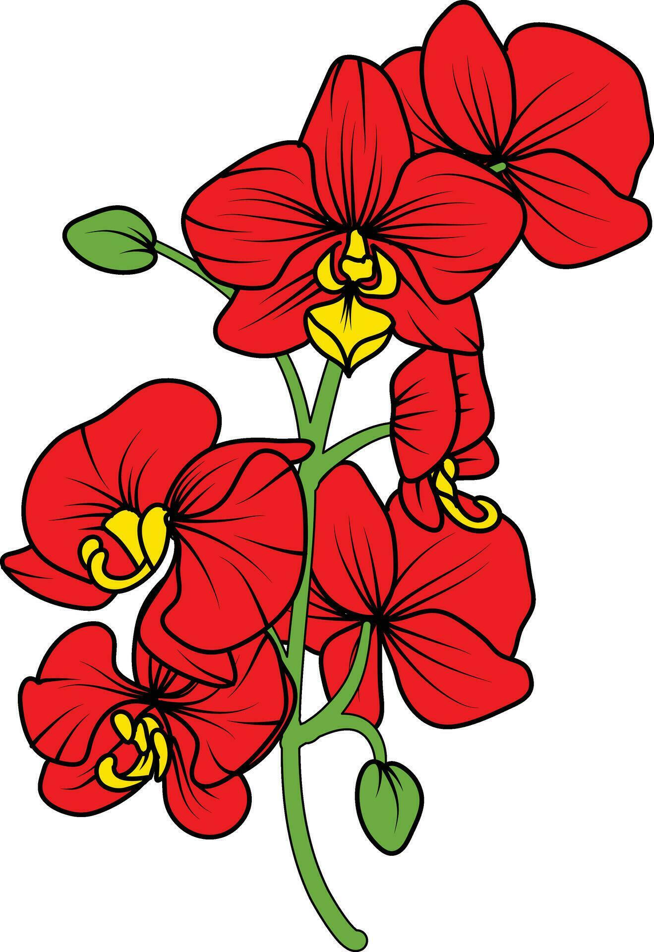 Red orchid branch vector flower, illustration of beautiful red orchid flower Stock Free