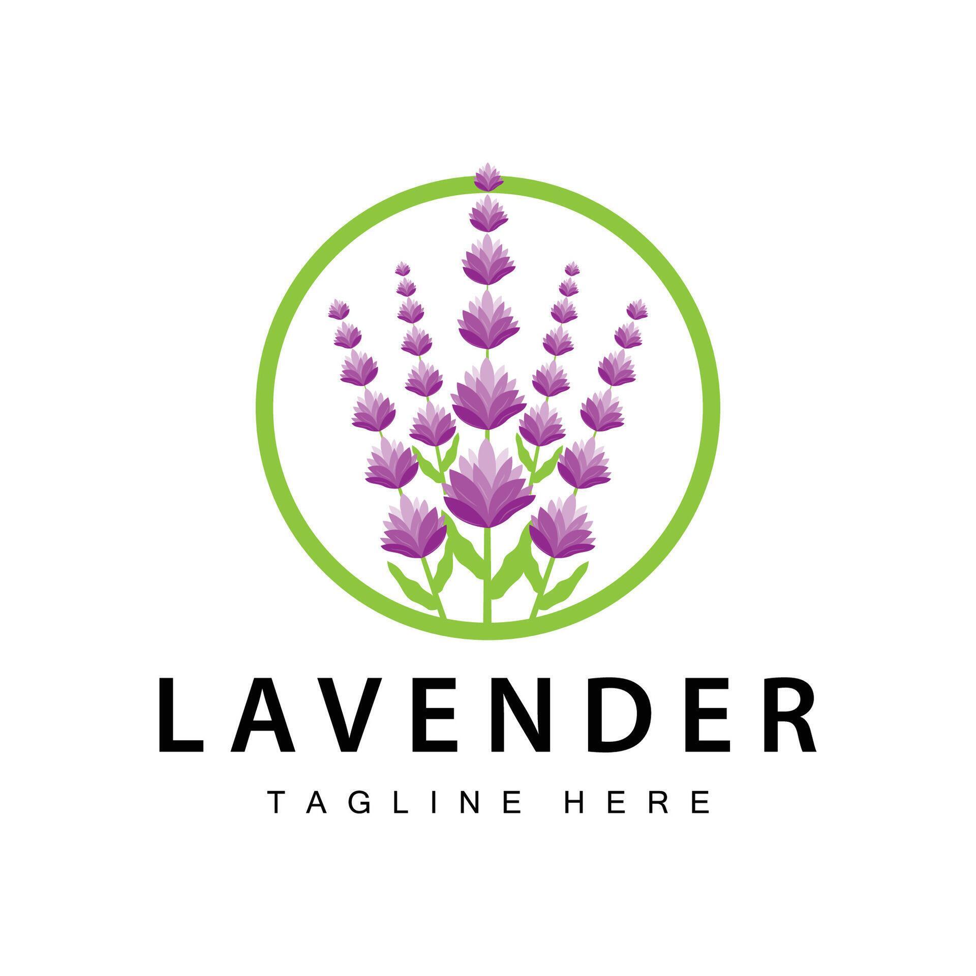 Lavender logo simple design vector cosmetic plant purple color and aromatherapy lavender flower garden template Stock Free