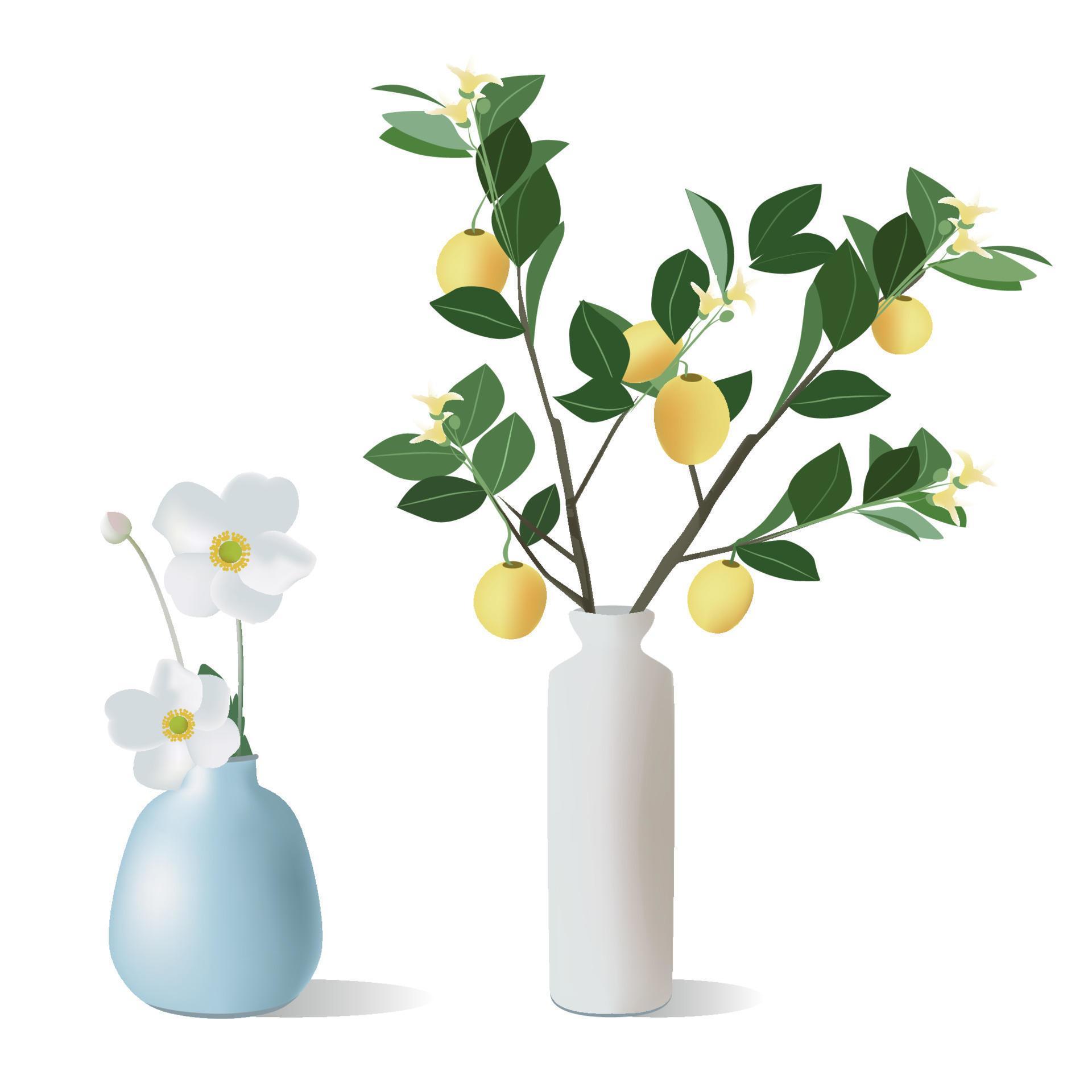 Two illustration of flowers in a vase and branches with lemons Stock Free