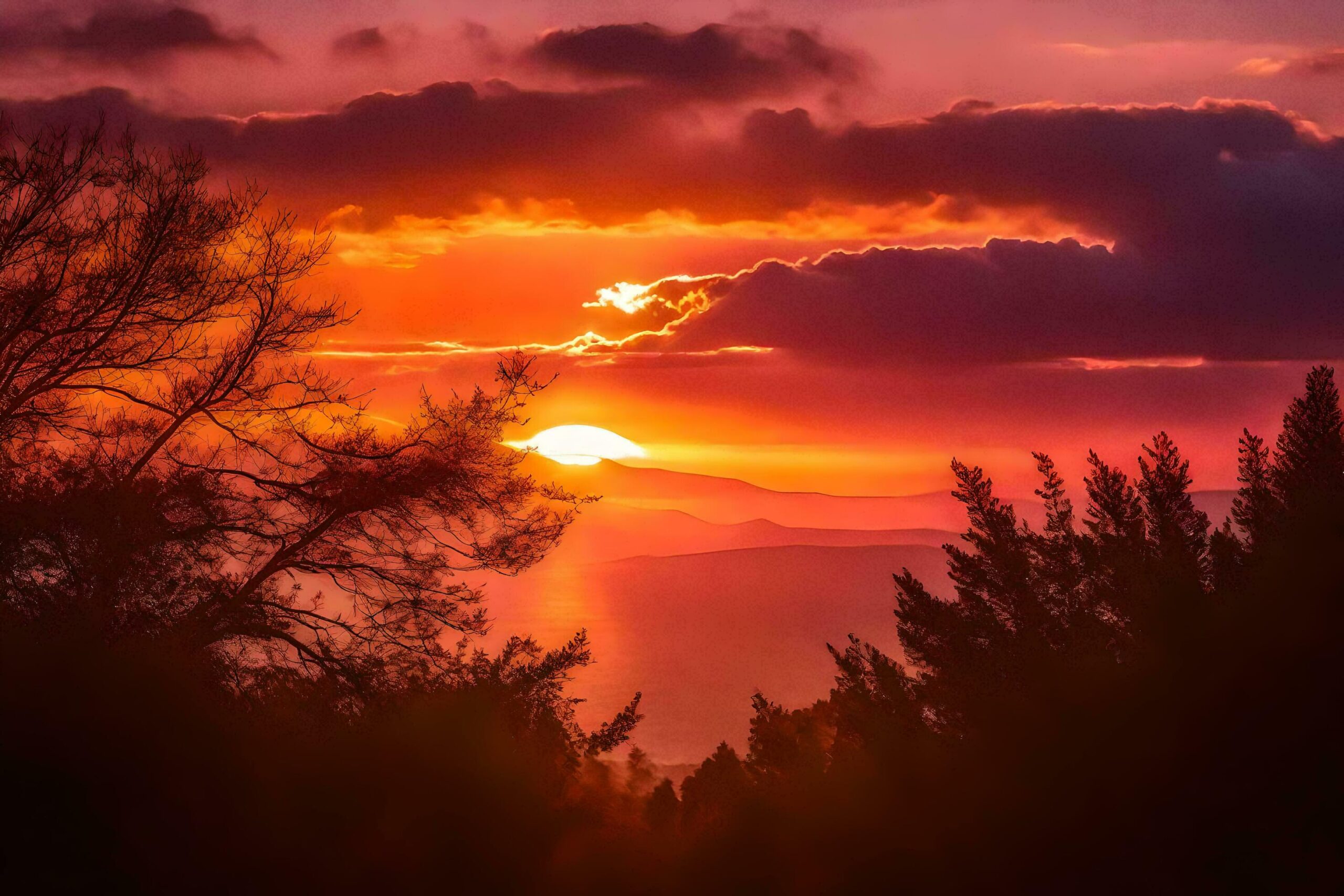 the sun sets over the ocean and trees Free Photo