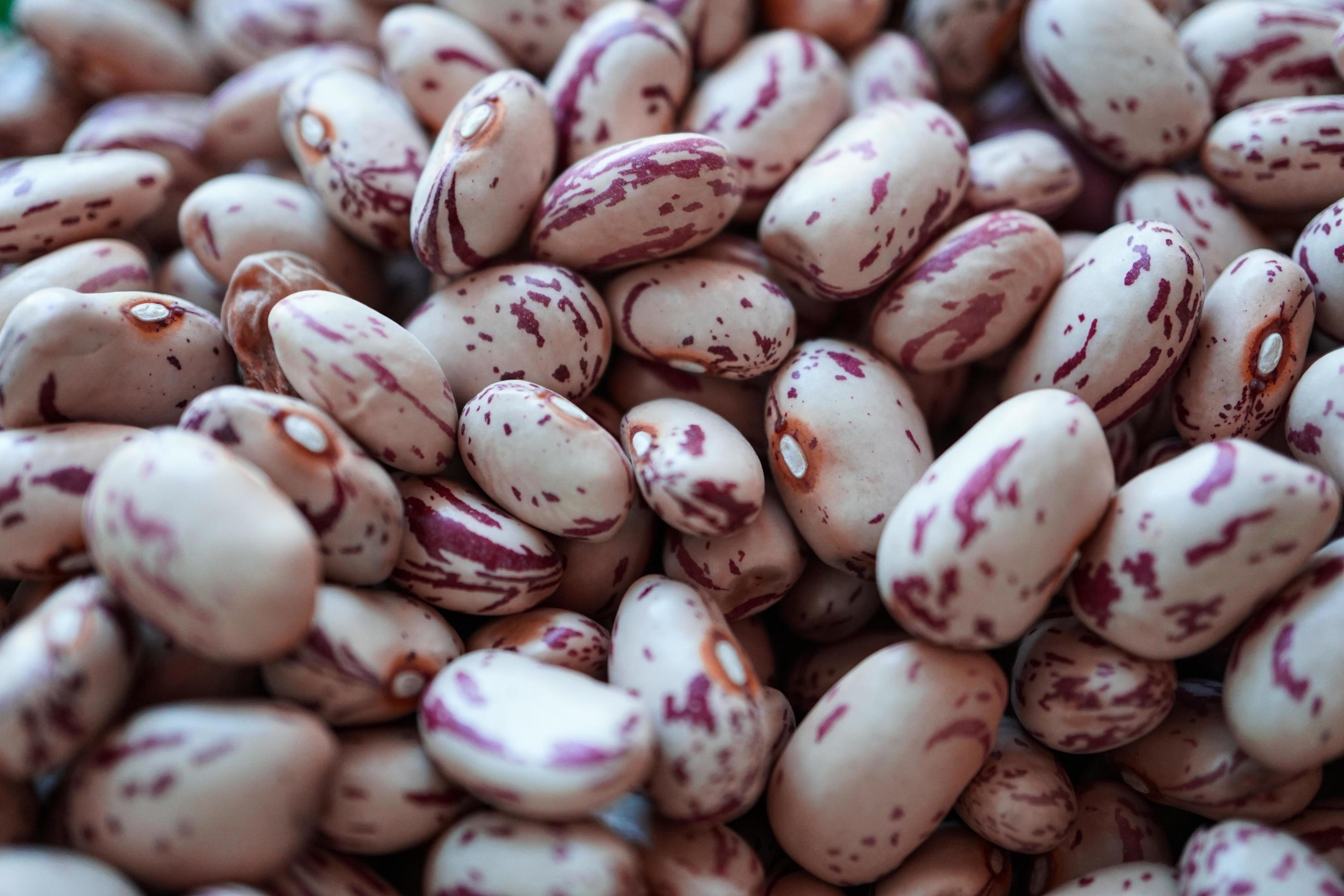 uncooked red beans, healthy food Stock Free