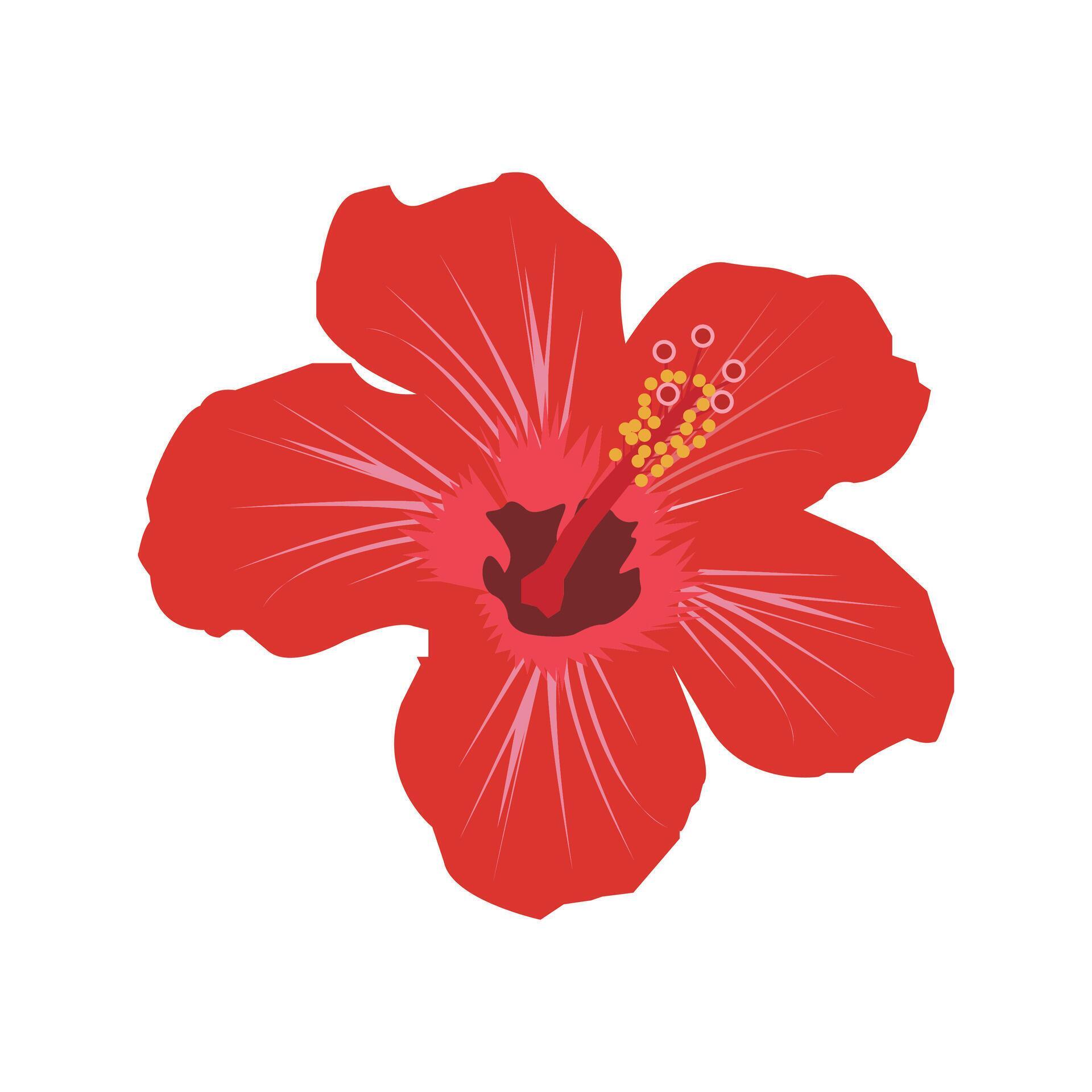 Flower Vector Design Stock Free