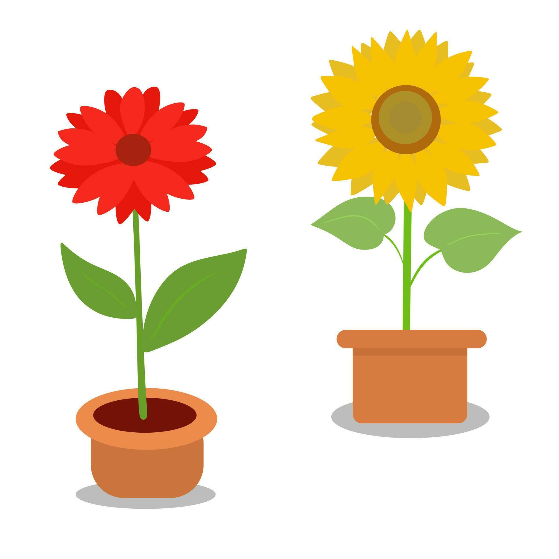 Red Flower And Sunflower In Pot Image Vector Stock Free