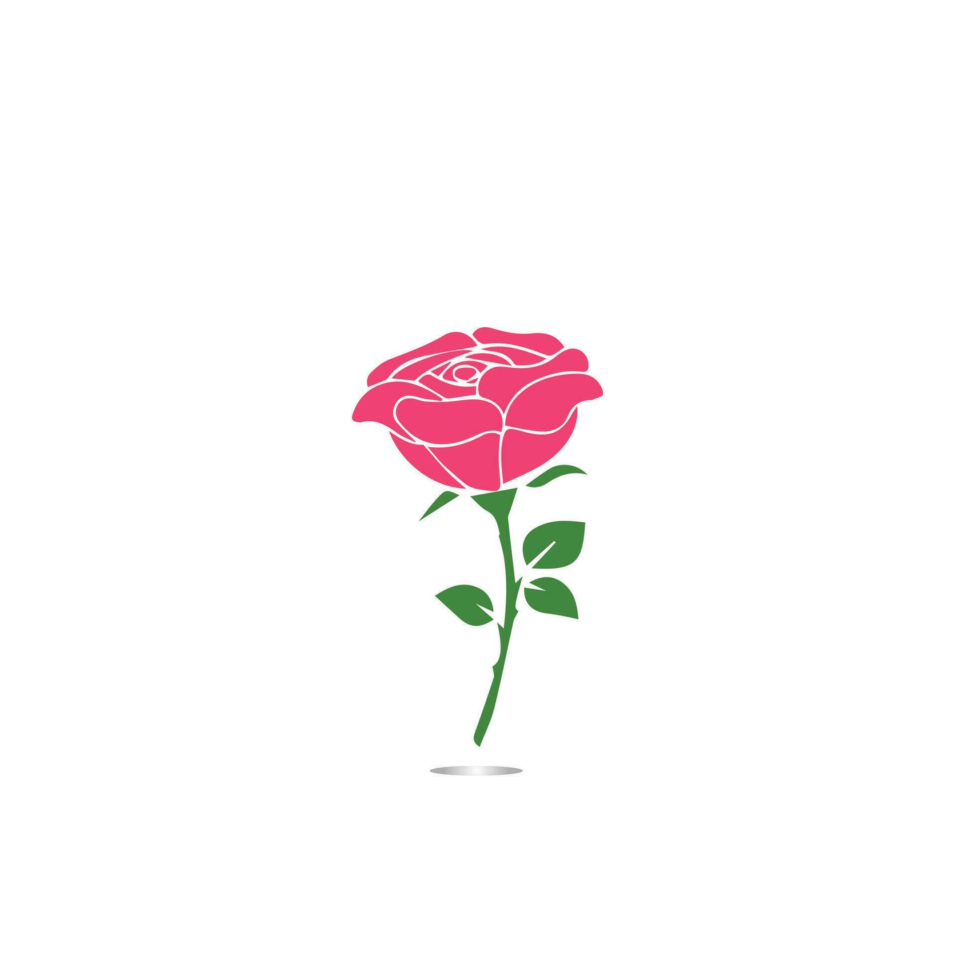 Red roses hand drawn, Black line rose flowers inflorescence silhouettes isolated on white background. Icon roses collection. Vector doodle illustration. Stock Free and Free SVG