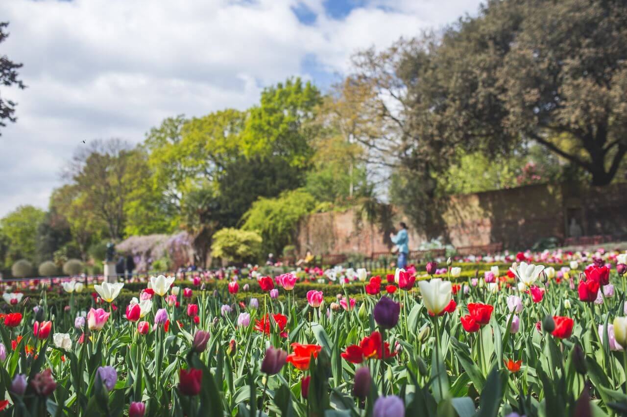 Beautiful Spring Garden Stock Free